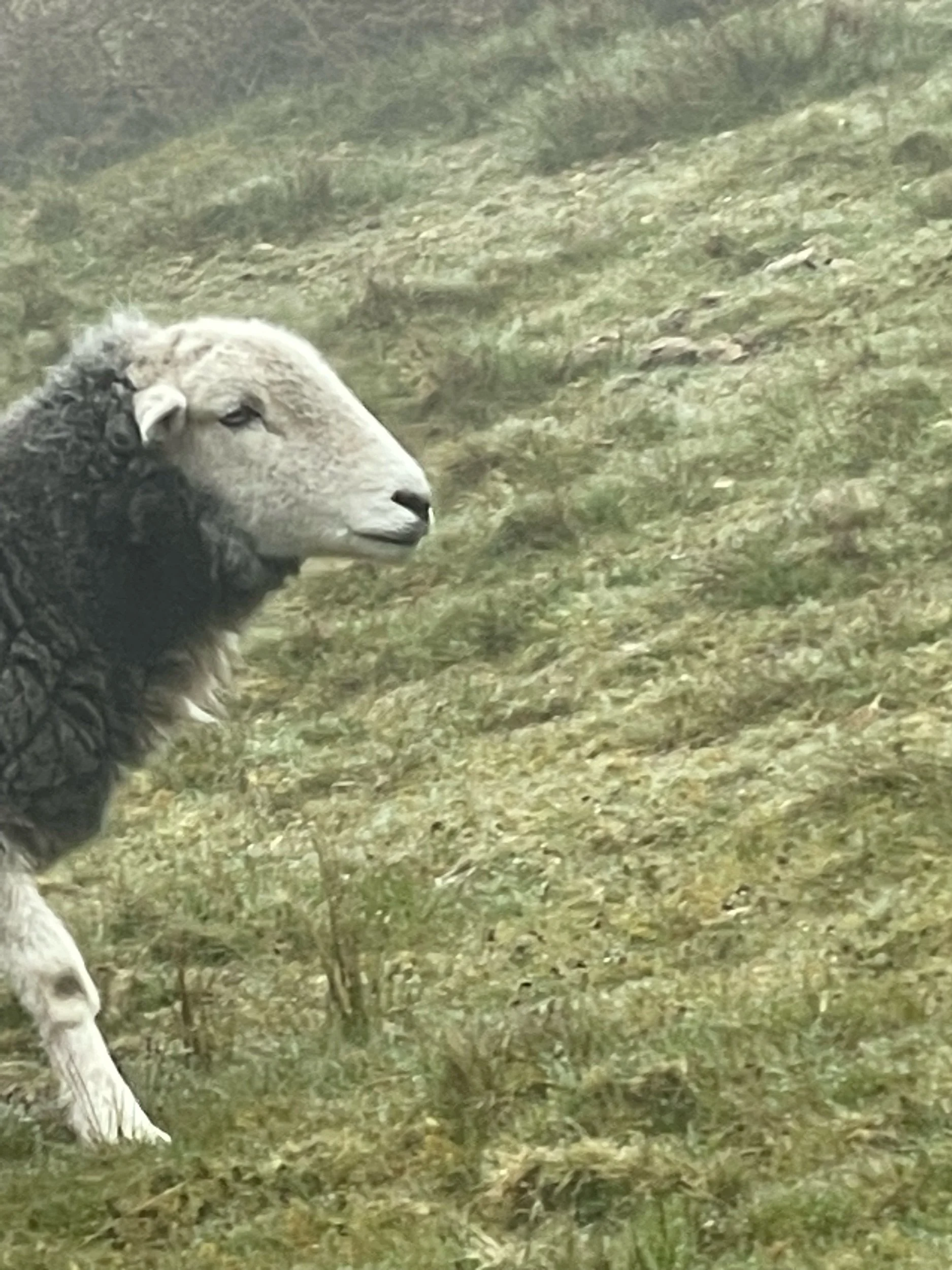 Yes, we are very alive and well!