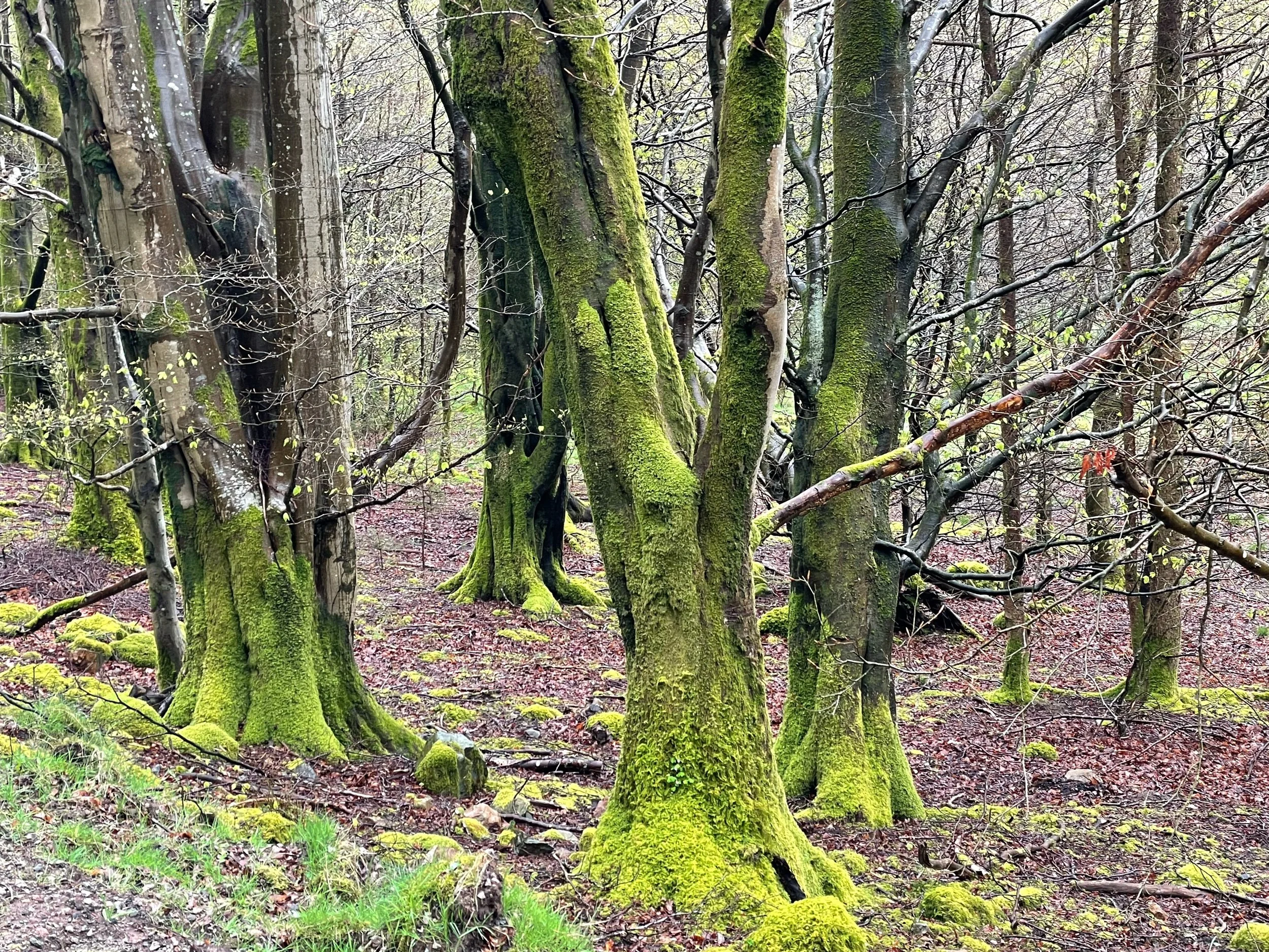 lake District Primer part i