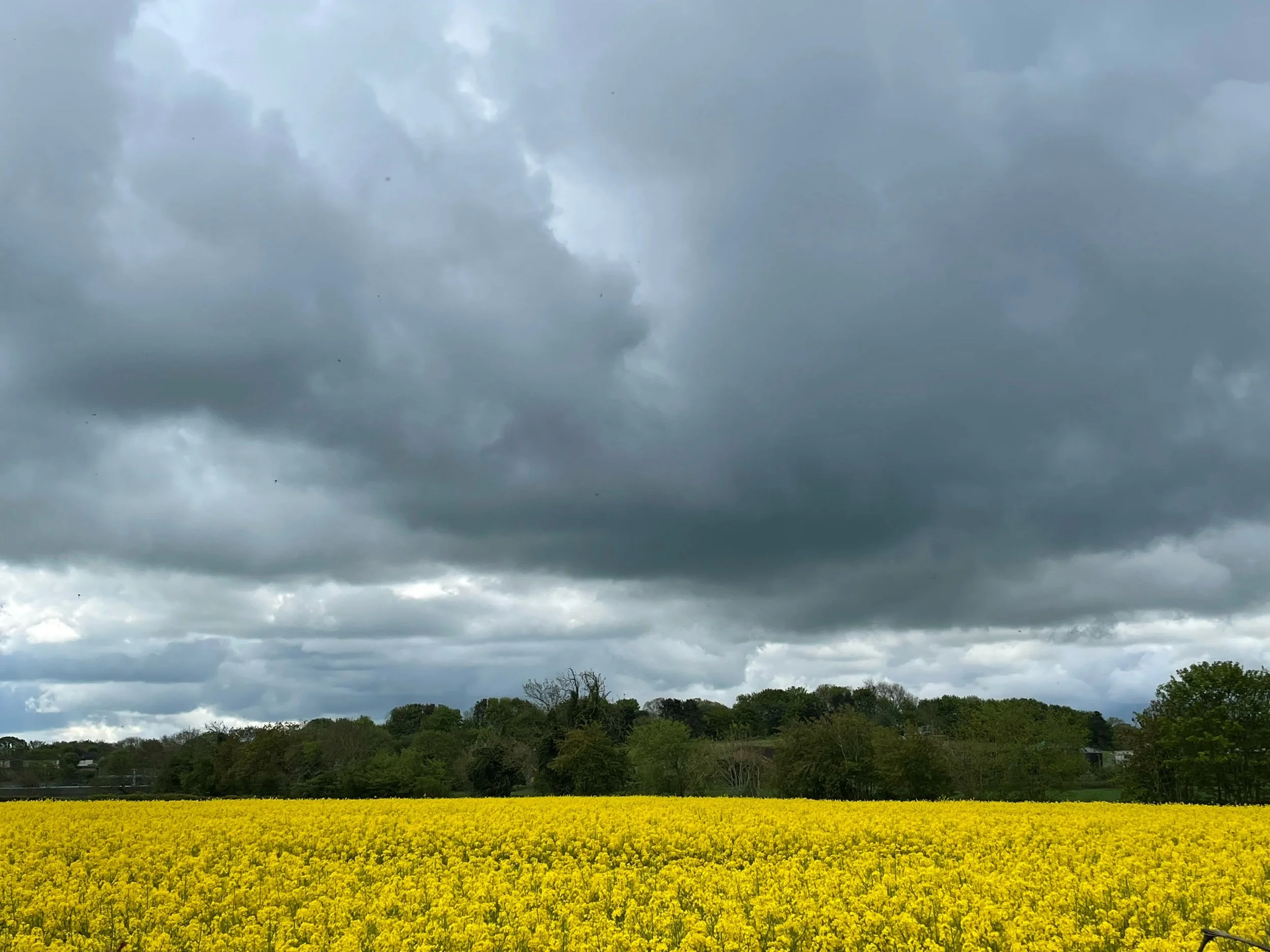 Richmond to Oak Tree Hill