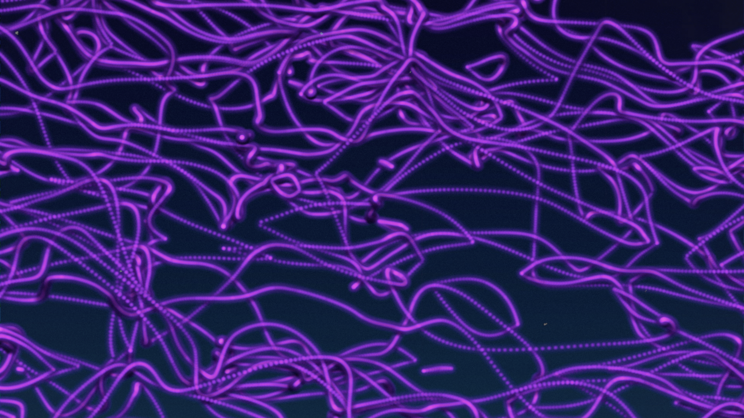 Screen Shot 2020-02-26 at 2.54.14 PM.png