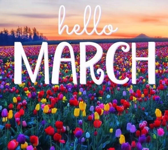 Two months down, three to go ...