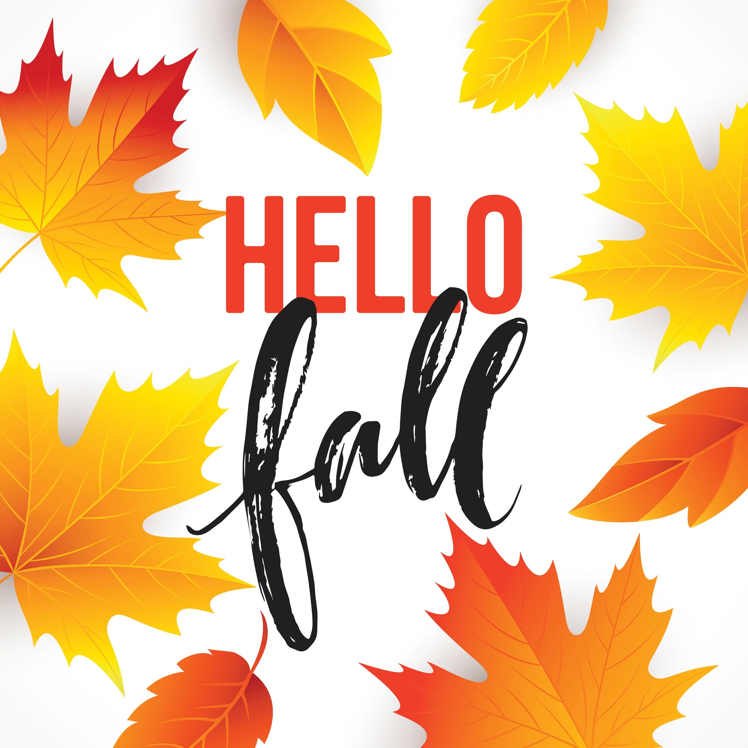 Let the countdown begin