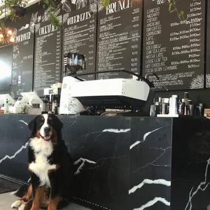 Order Online — Grace Coffee Co.