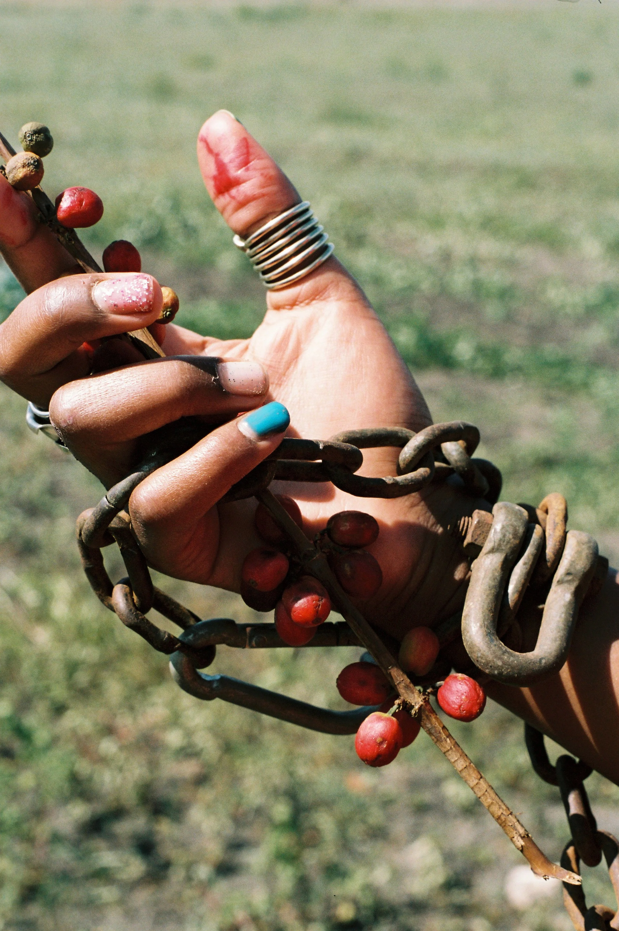 COFFEE MILK BLOOD 35MM 239.jpg