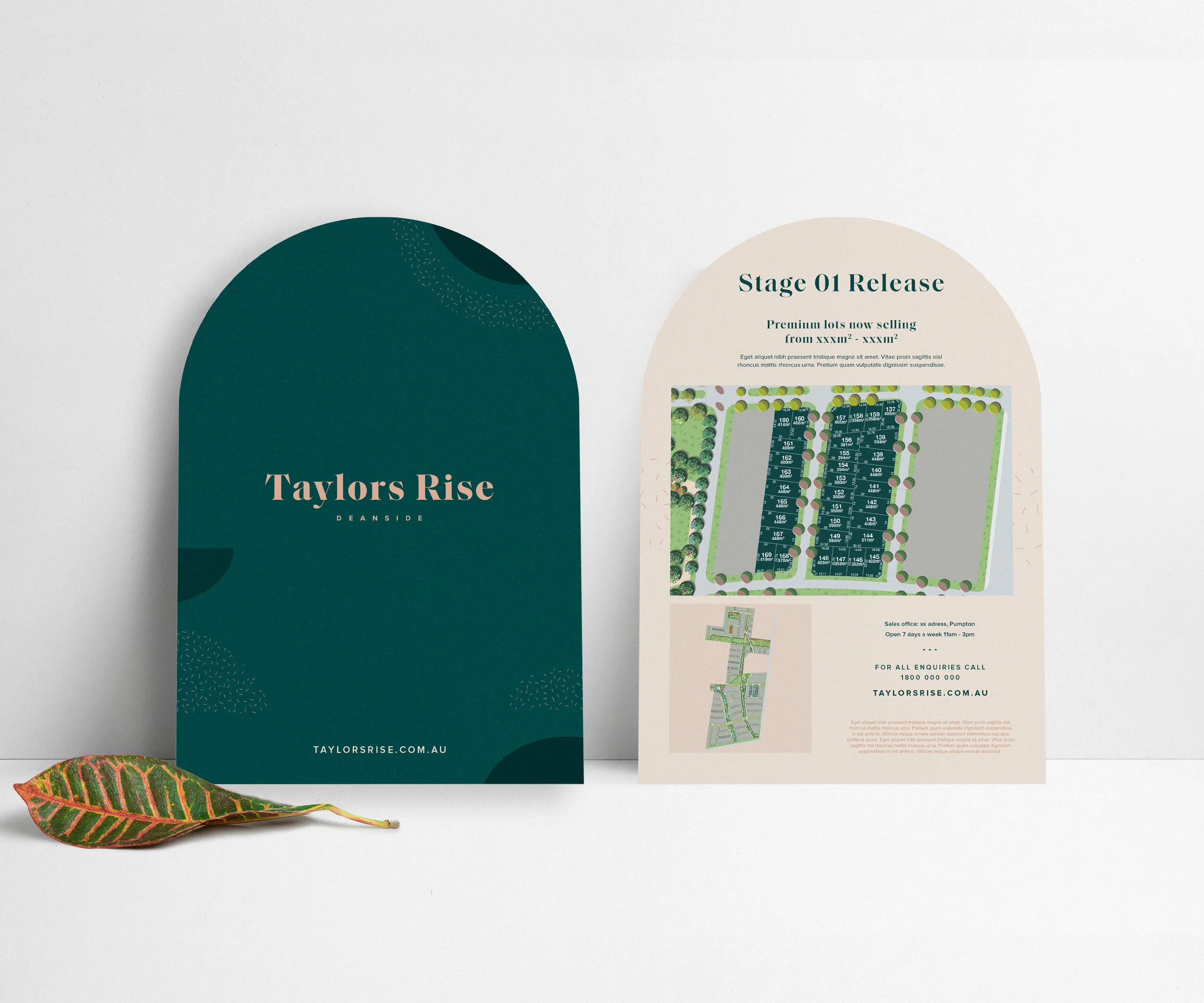 Web Design | Social Media | Signage 