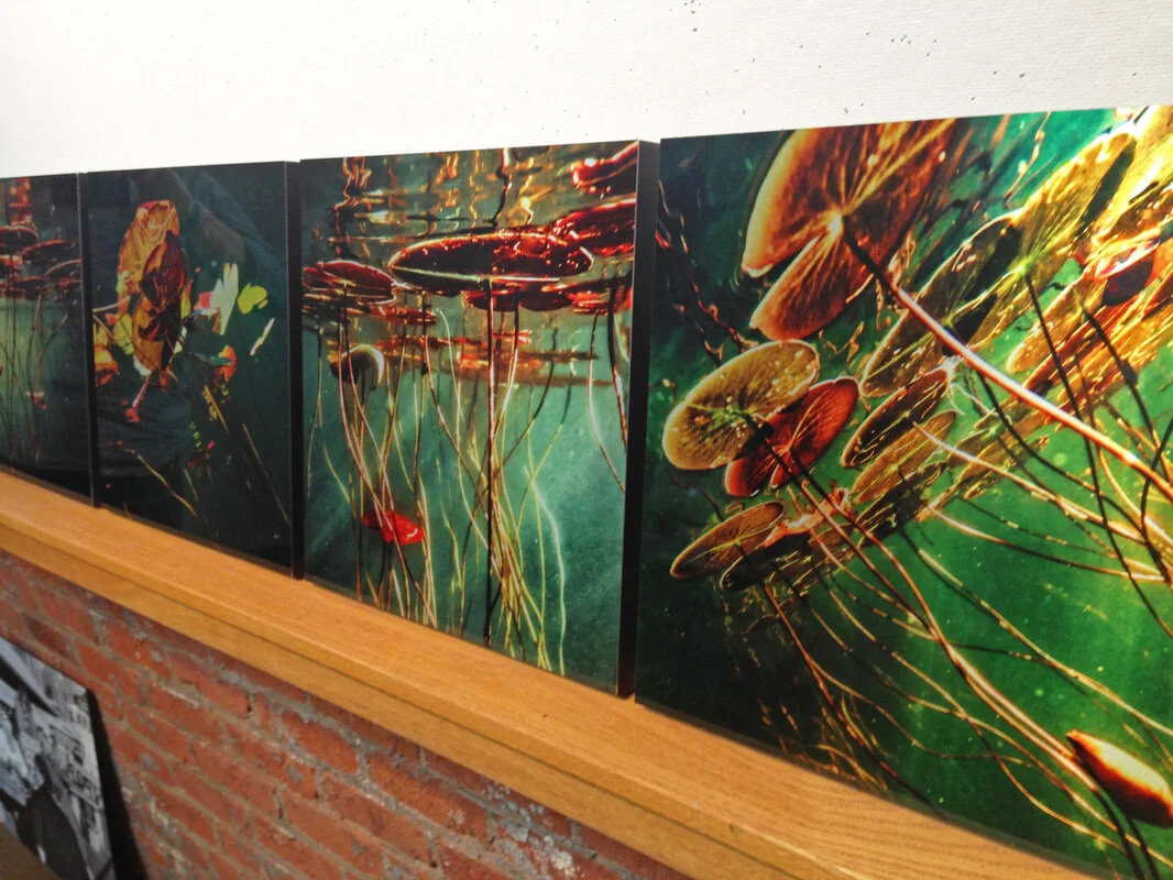 Dye Sublimation onto Aluminum New England Fine Art Printmaking