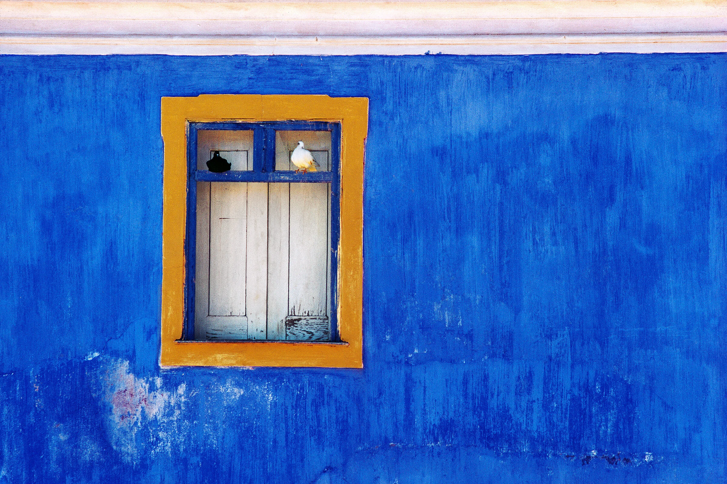Blue Wall and Doves