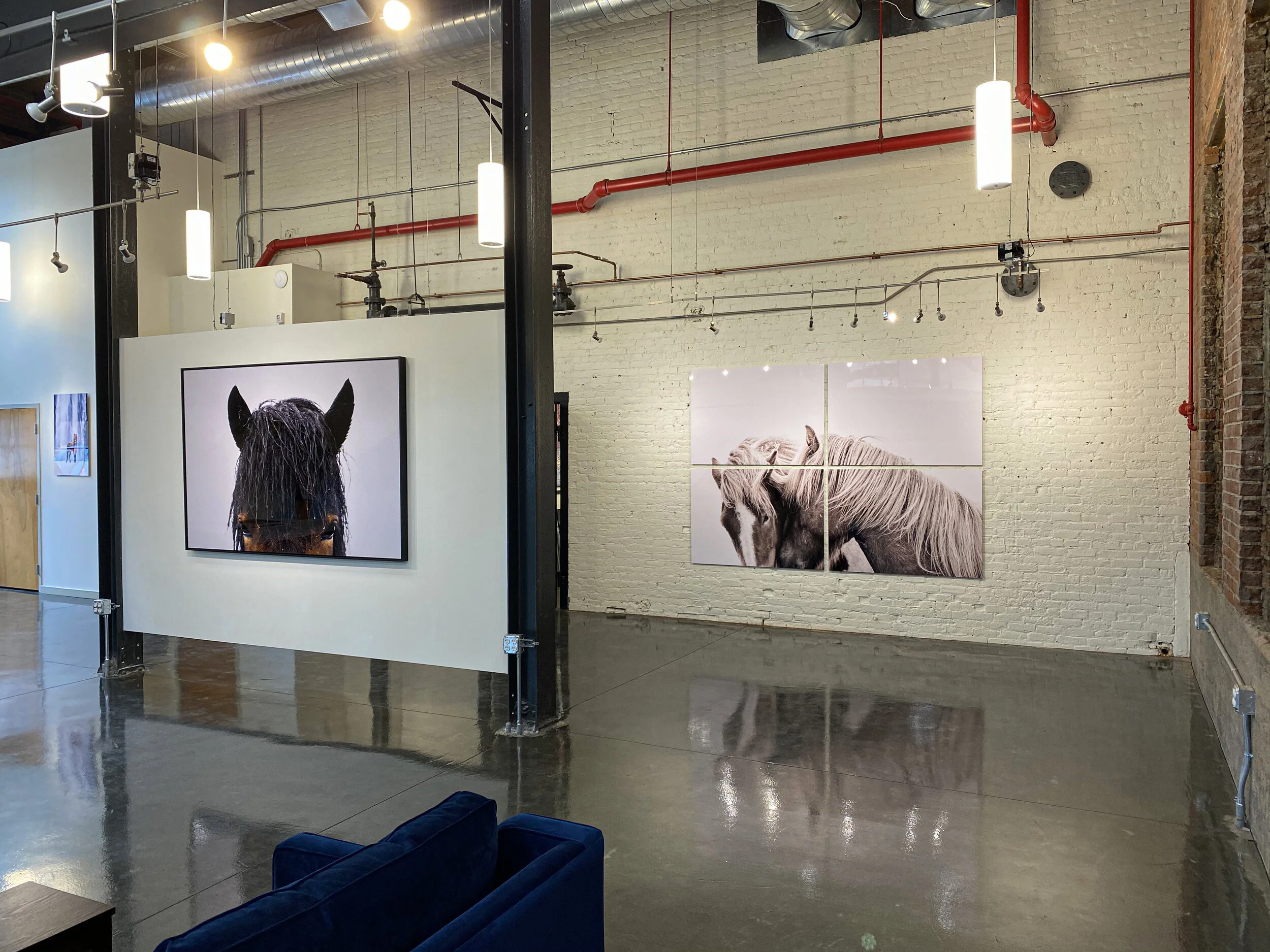 Guadalupe Laiz 3.jpeg