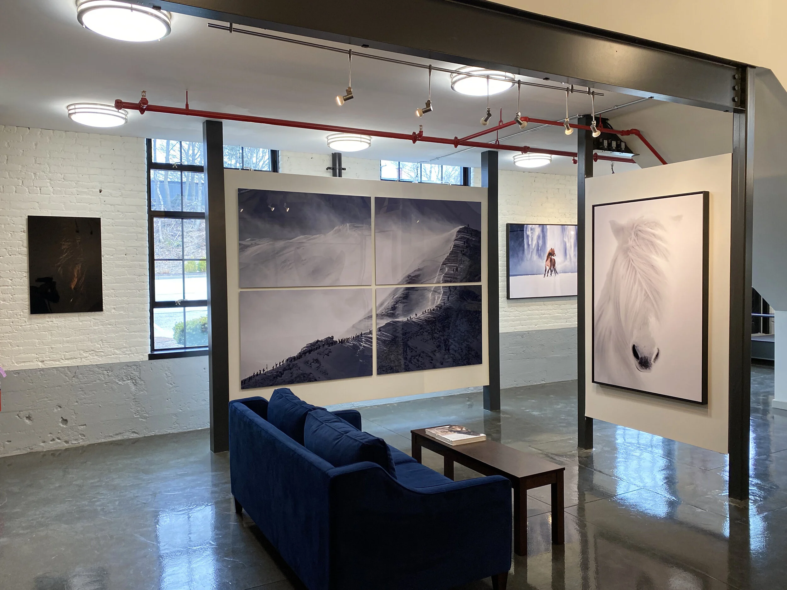 Guadalupe Laiz 9.jpeg