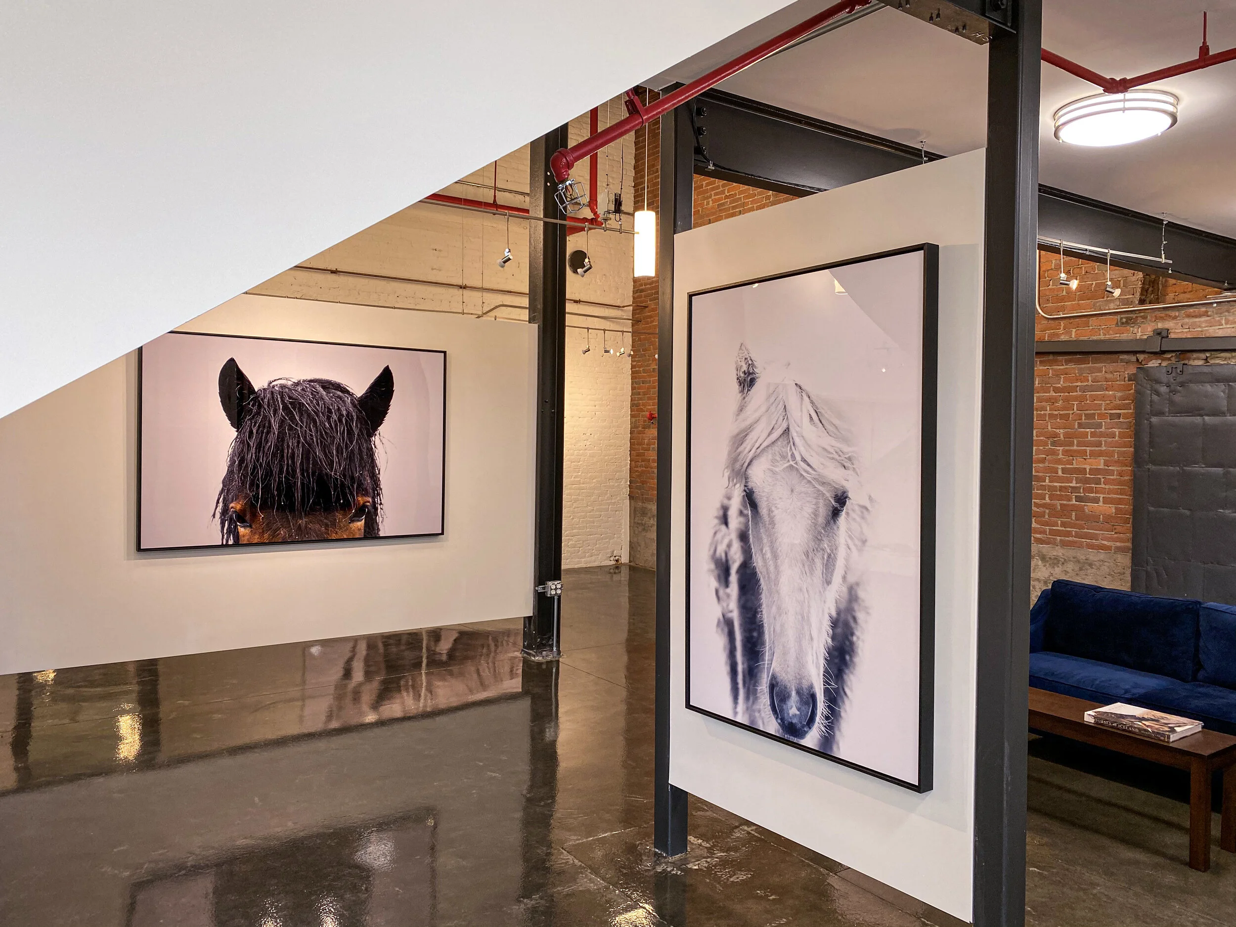 Guadalupe Laiz 20.jpeg