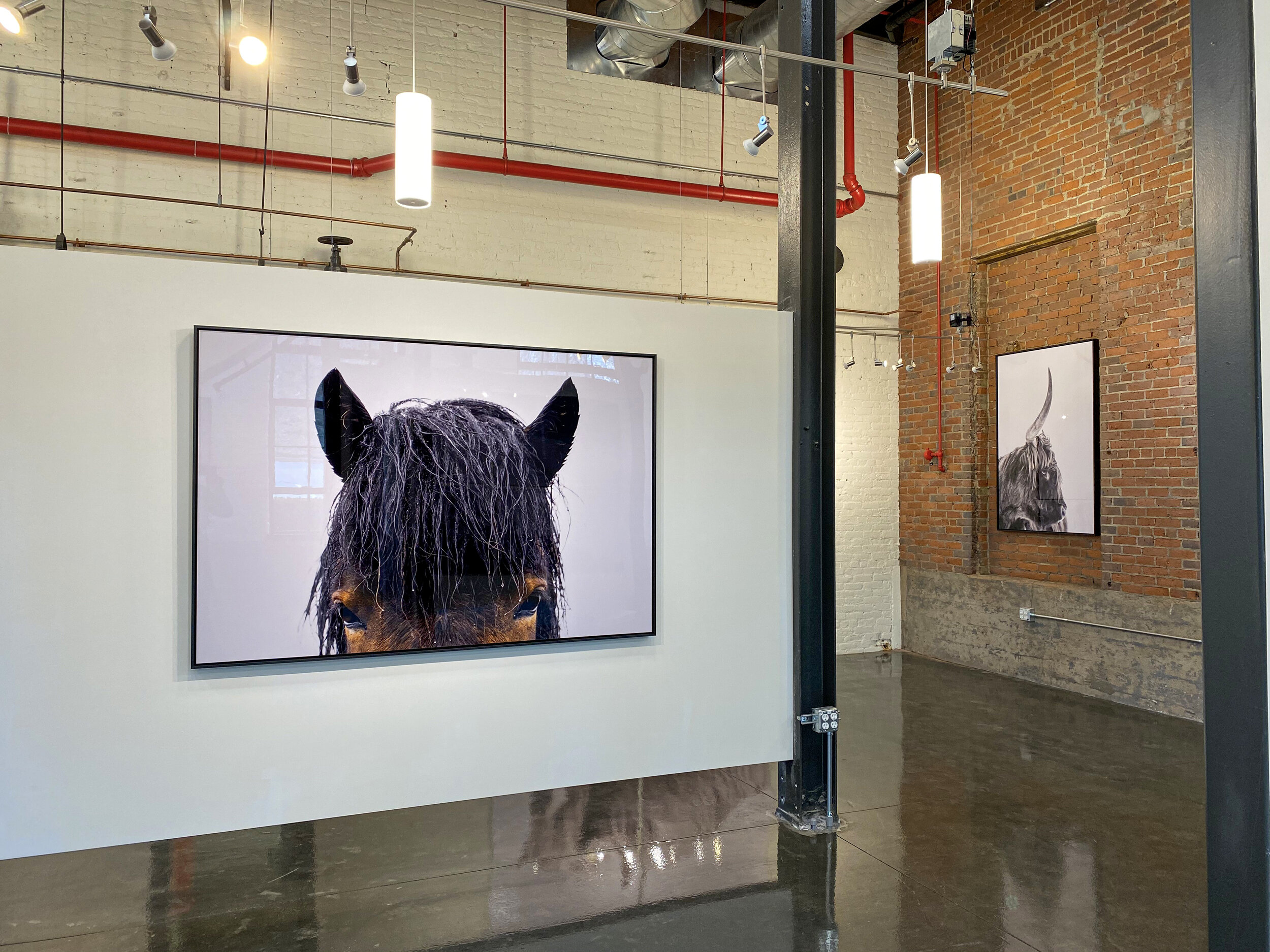 Guadalupe Laiz 17.jpeg