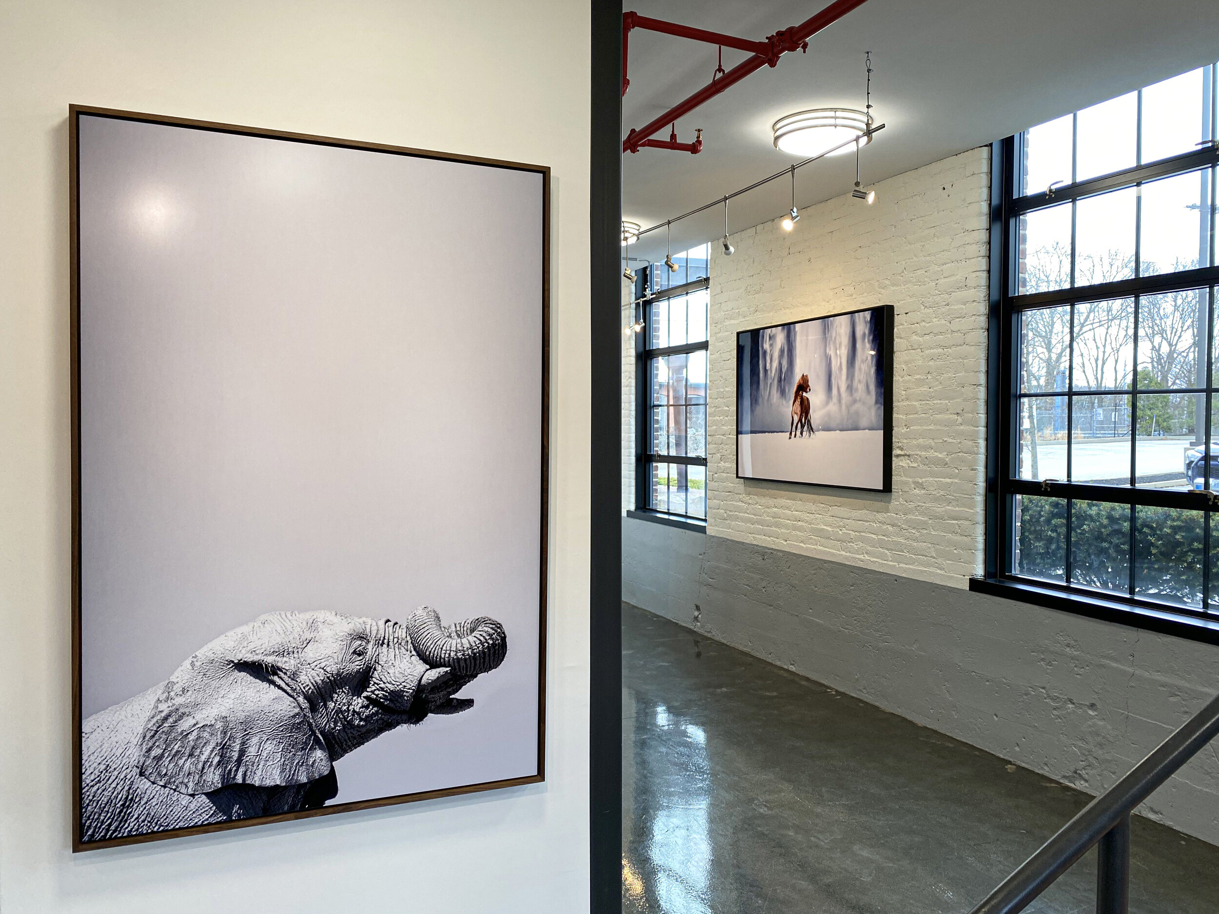 Guadalupe Laiz 34.jpeg