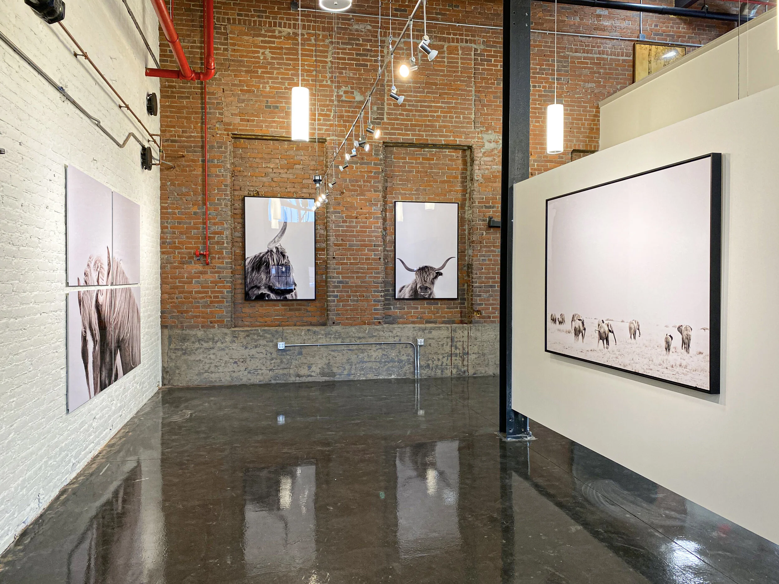 Guadalupe Laiz 48.jpeg