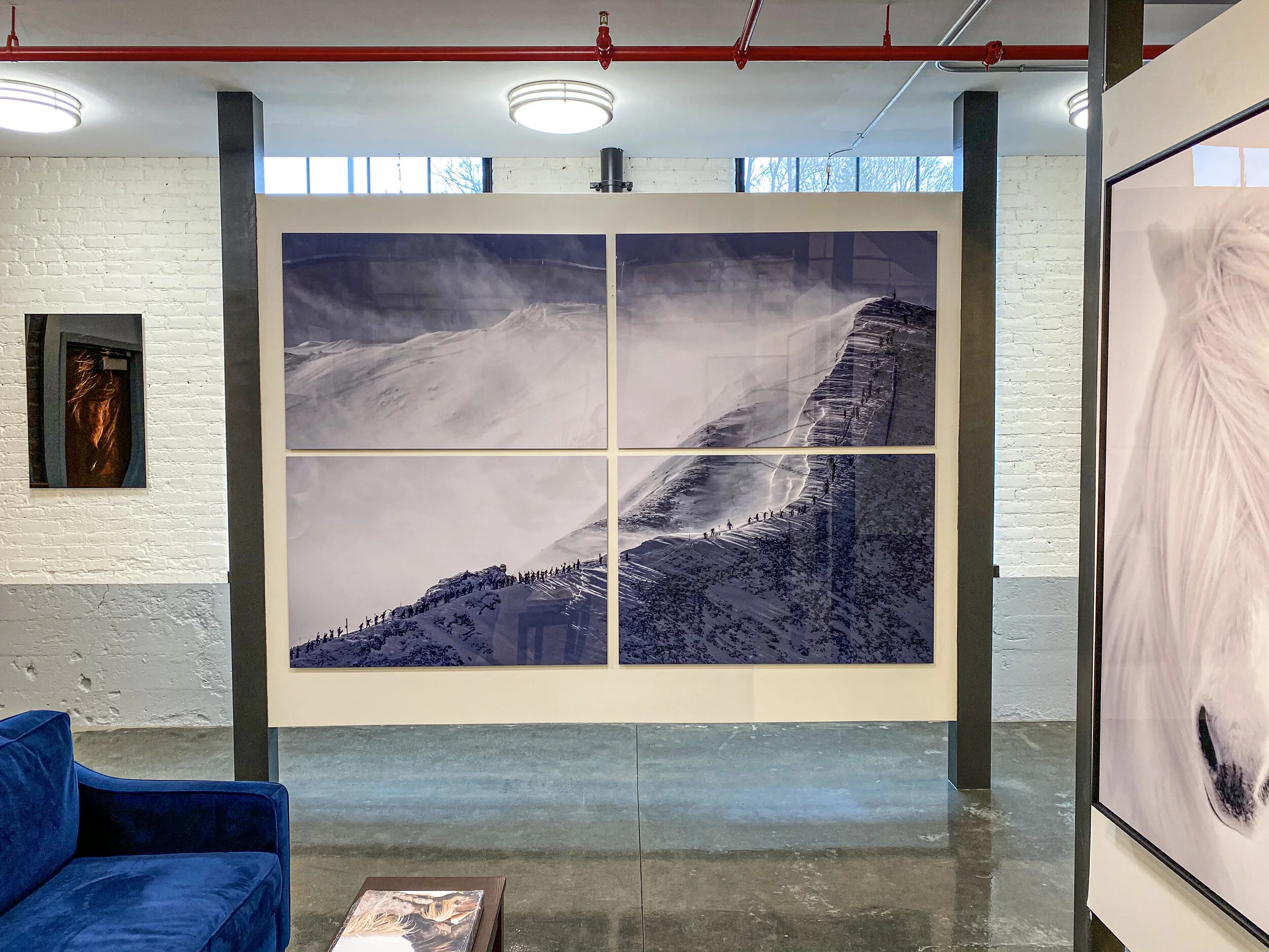 Guadalupe Laiz 43.jpeg