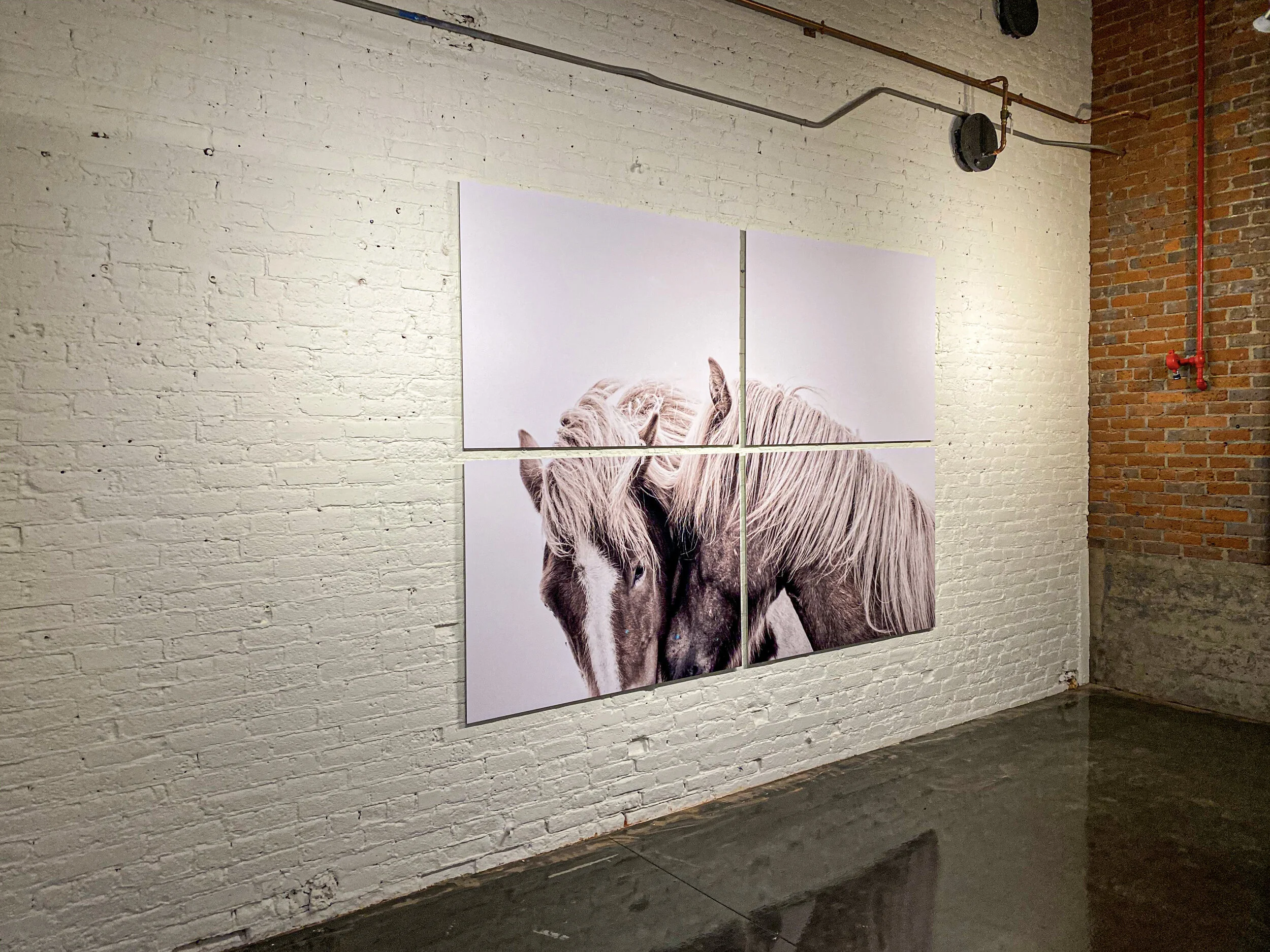 Guadalupe Laiz 50.jpeg