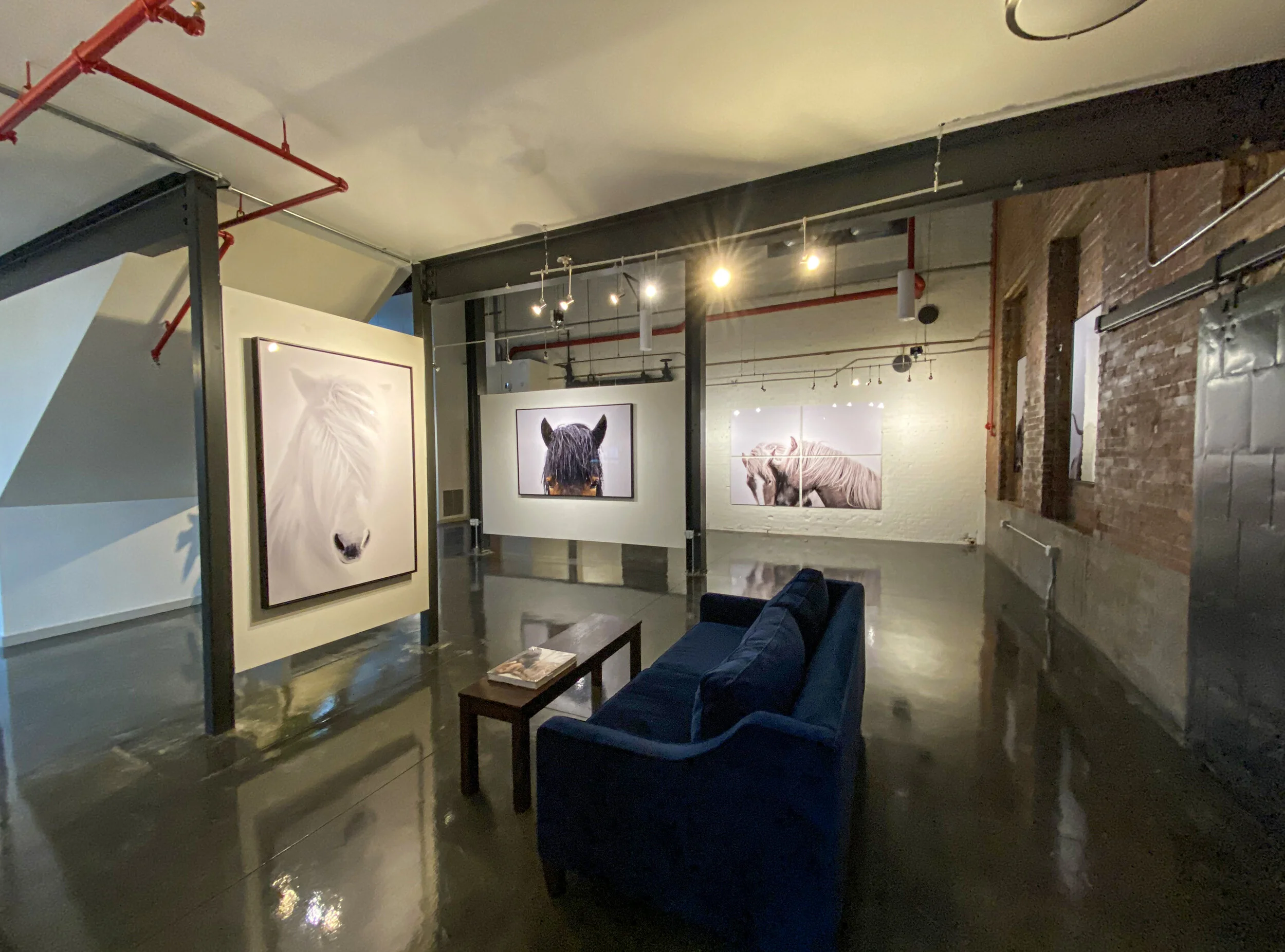 Guadalupe Laiz 55.jpeg