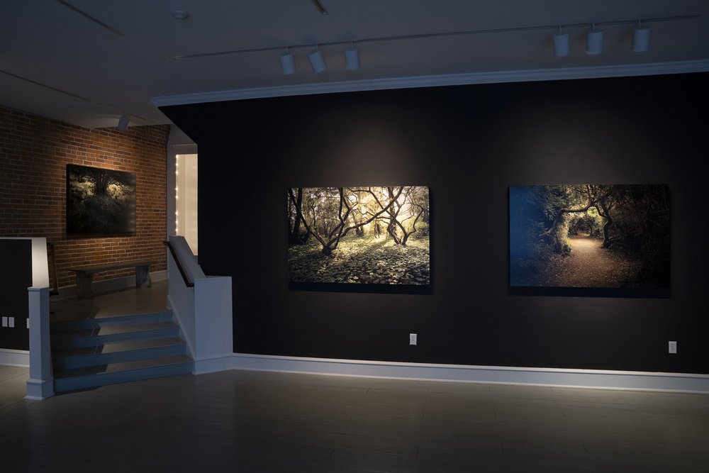 Jacob Hessler Sanctuary Exhibition 2.jpg