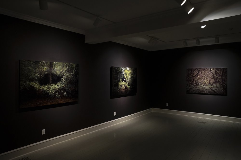 Jacob Hessler Sanctuary Exhibition 4.jpg