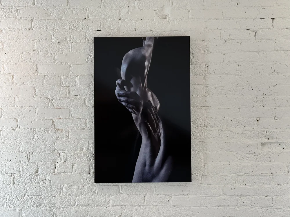 Connie Imboden "Untitled IV" 36x24" • Dye Sublimation on Aluminum