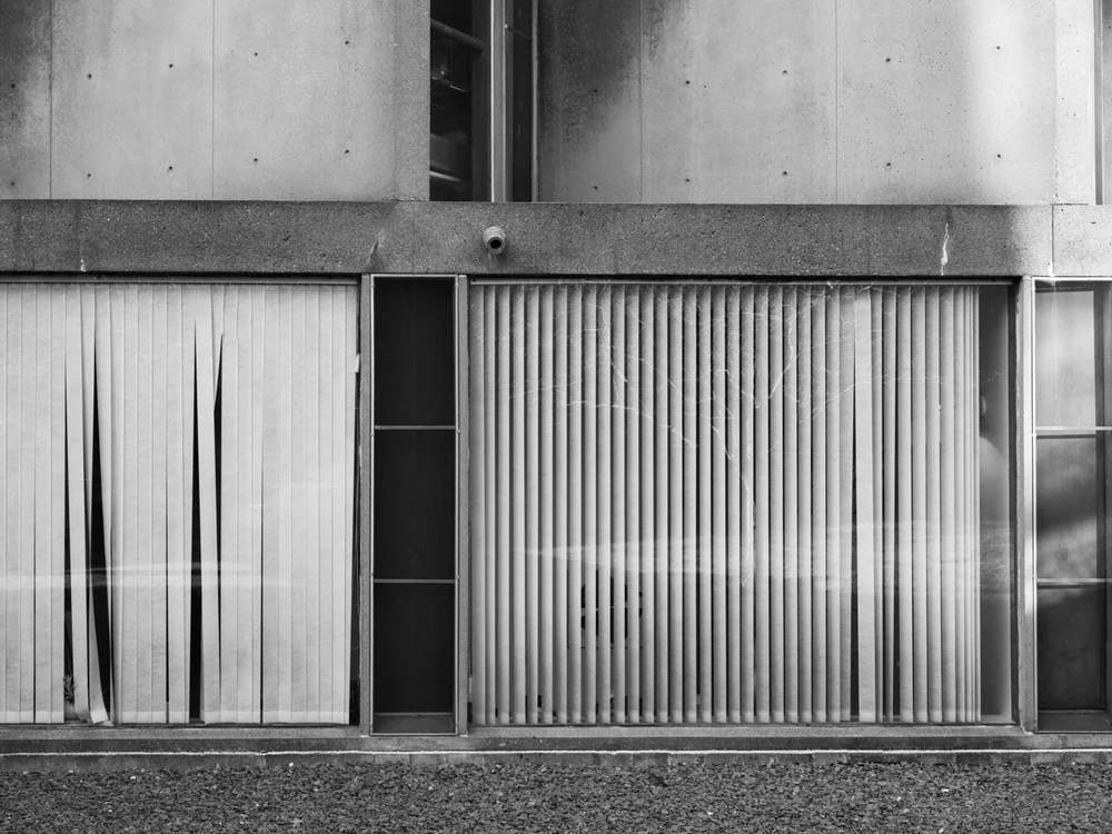 Rashid B Carpenter 10188 x 7641 Large.jpeg