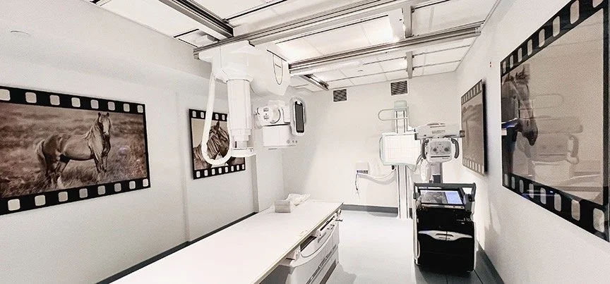 Maimondes Children's Hospital1 Large.jpeg