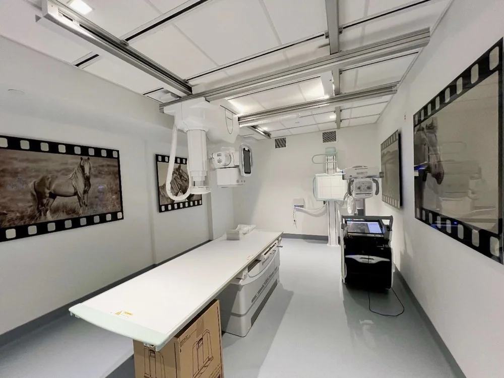 Maimondes Children's Hospital7 Large.jpeg