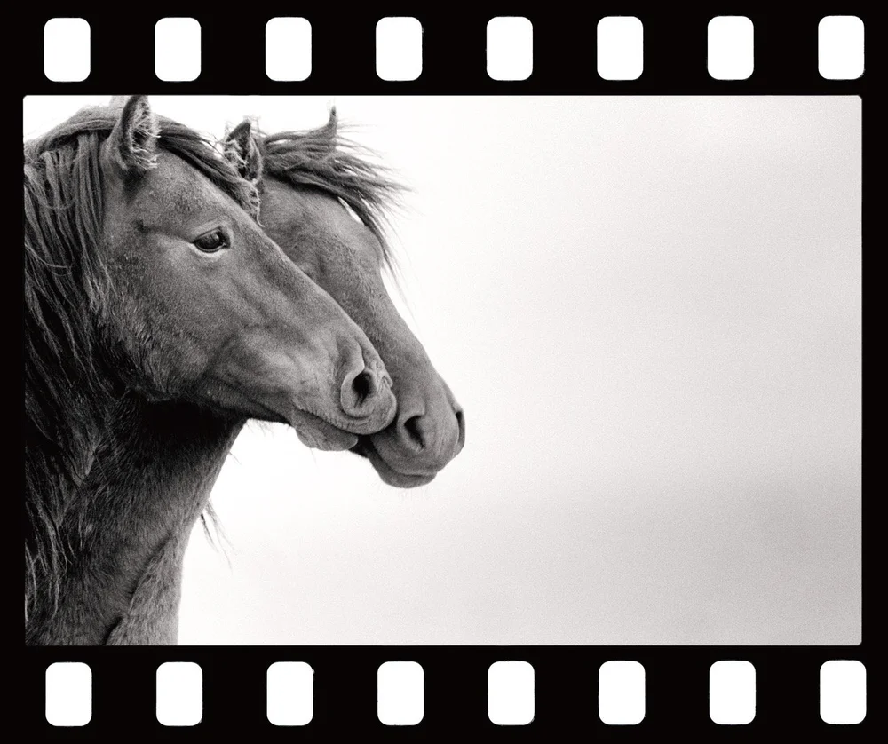 two 40_4x48 Large.jpeg