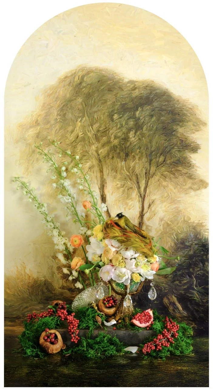 Black Crested Bulbul with Pomegranate Nesting JP Terlizzi Large copy.jpeg