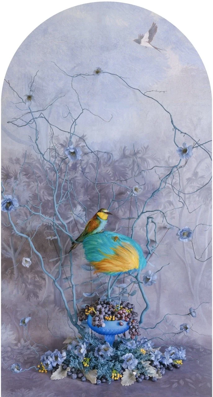 European Bee Eater with Grapes and Blueberries Nesting JP Terlizzi Large copy.jpeg