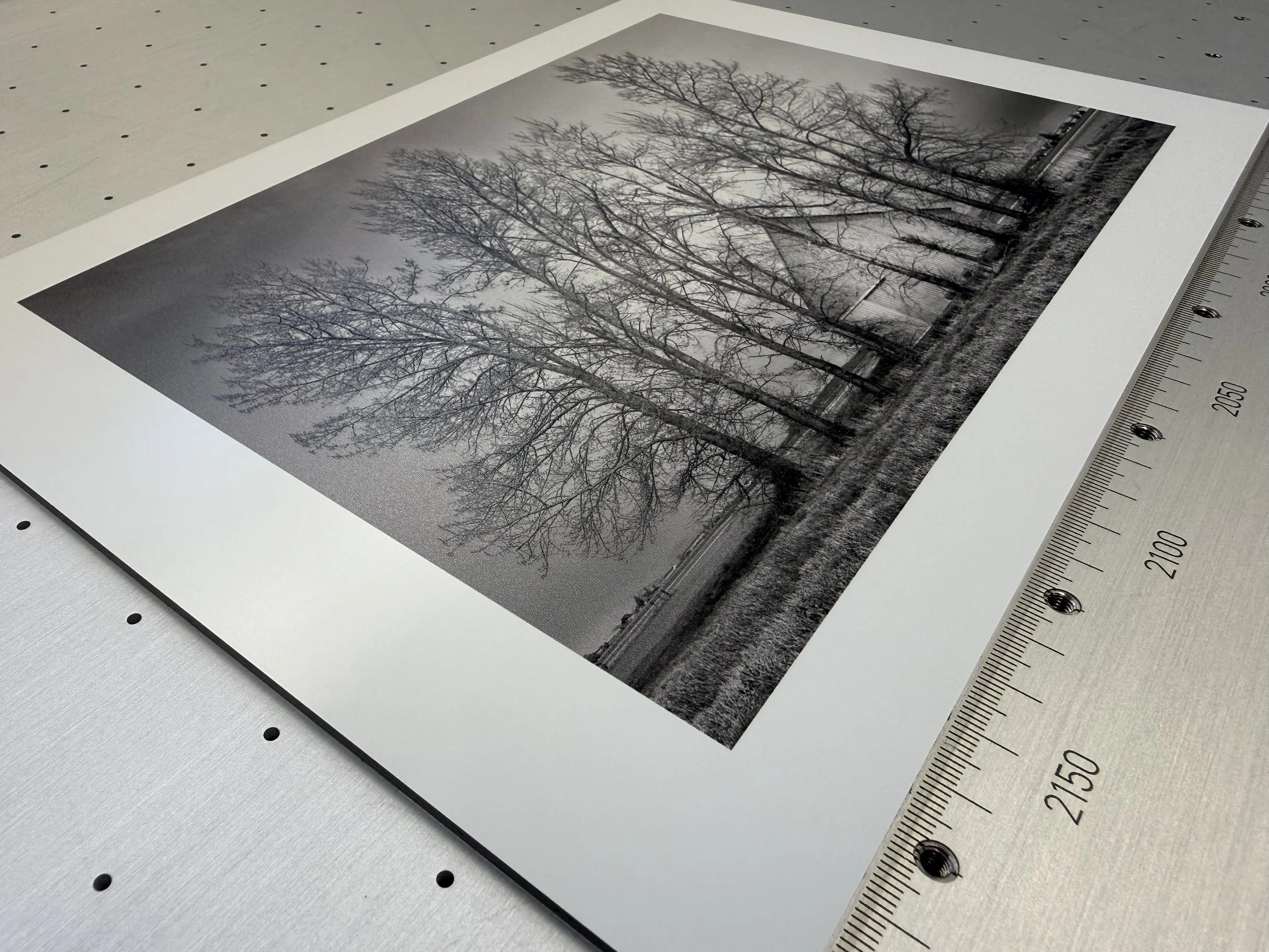 Black and white photograph of leafless trees in a muddy field, printed on a sheet of paper on a white backing, with a metal ruler beside it for scale.