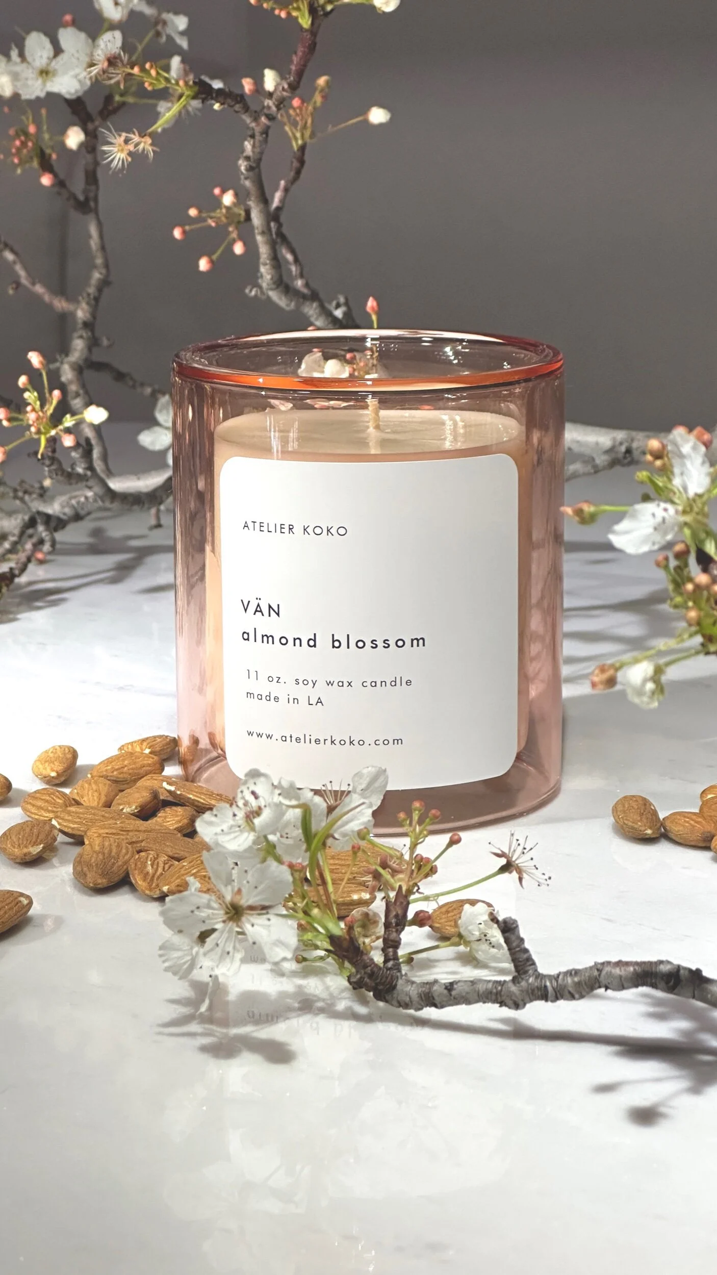 BE64CABD-713F-41E6-8D57-DA433F682691