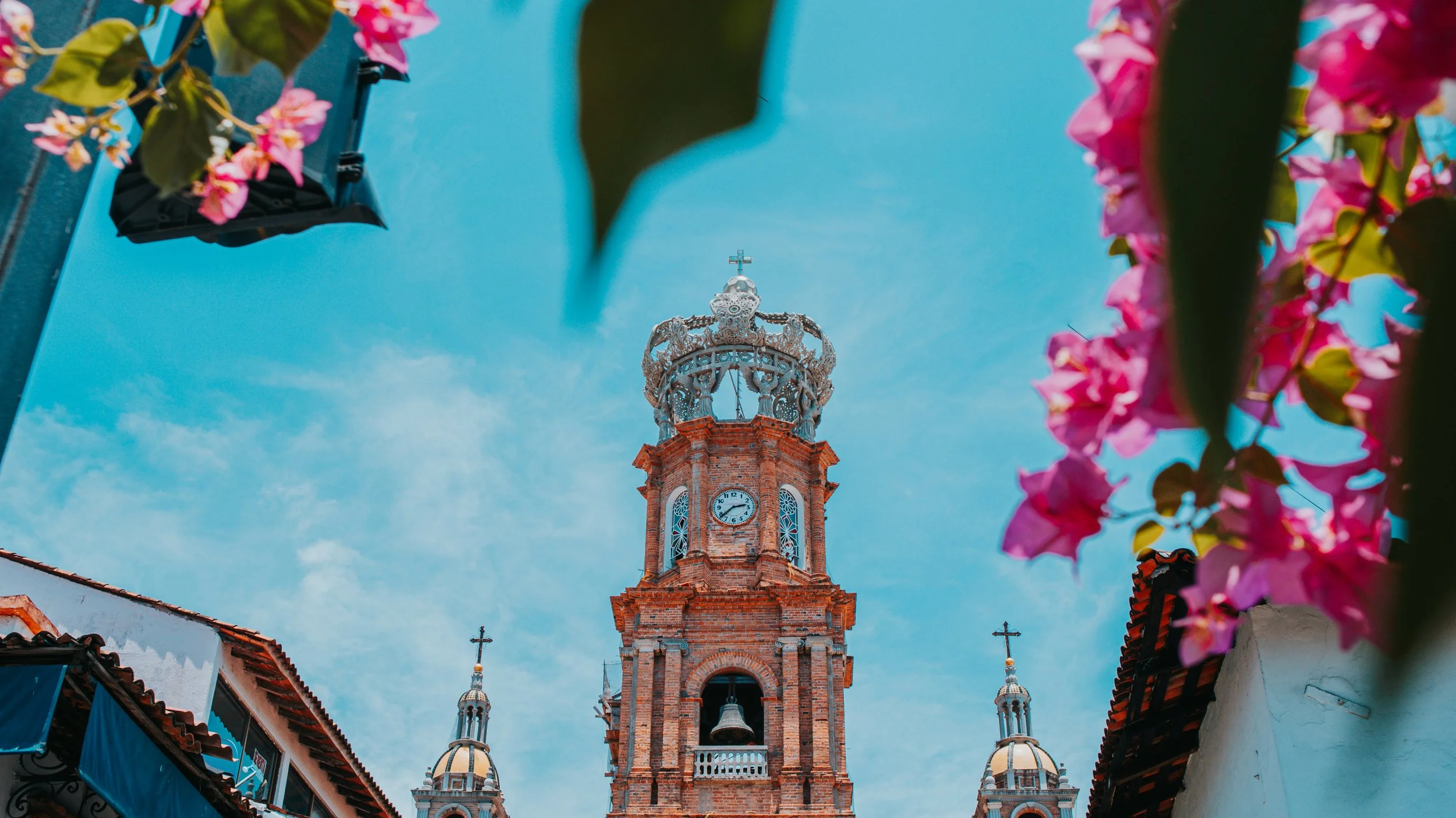 AdobeStock_690529379.jpeg