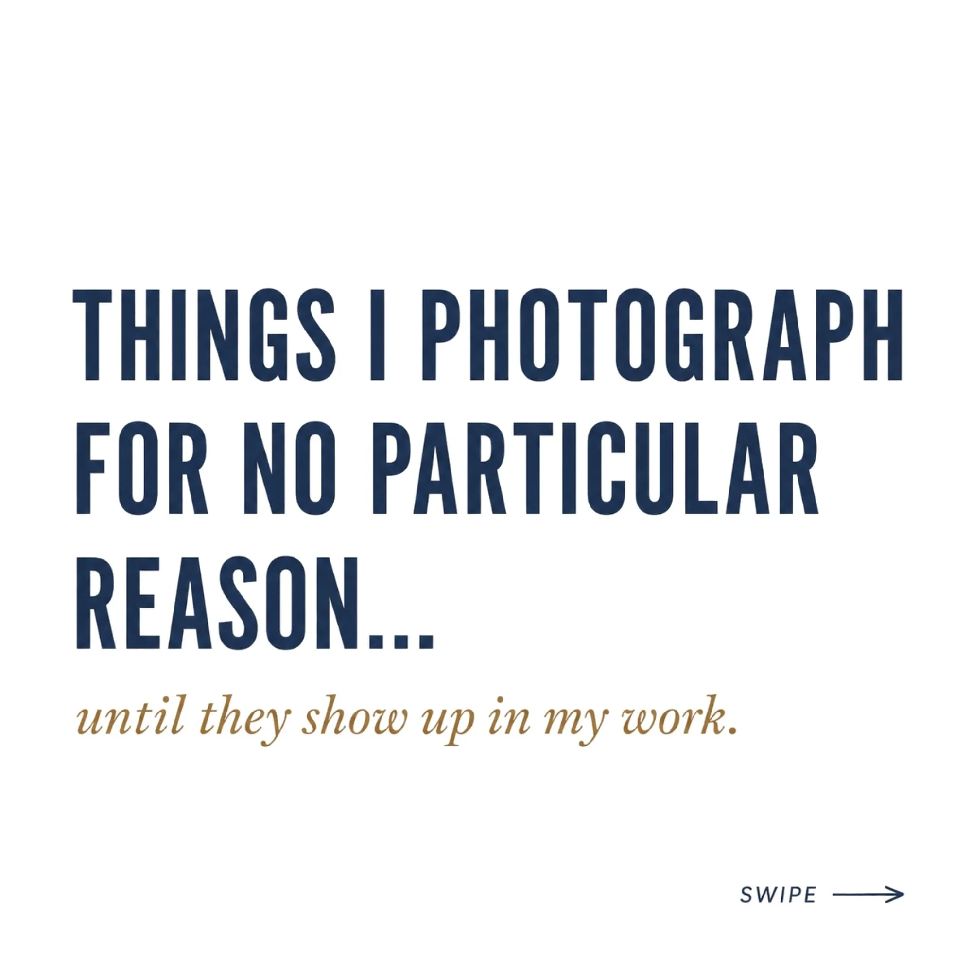 Well, apparently my camera roll has been designing things behind my back. 😂

I started looking through some of the ridiculous number of photos I&rsquo;ve taken over the years and realized how often little pieces of them eventually find their way int