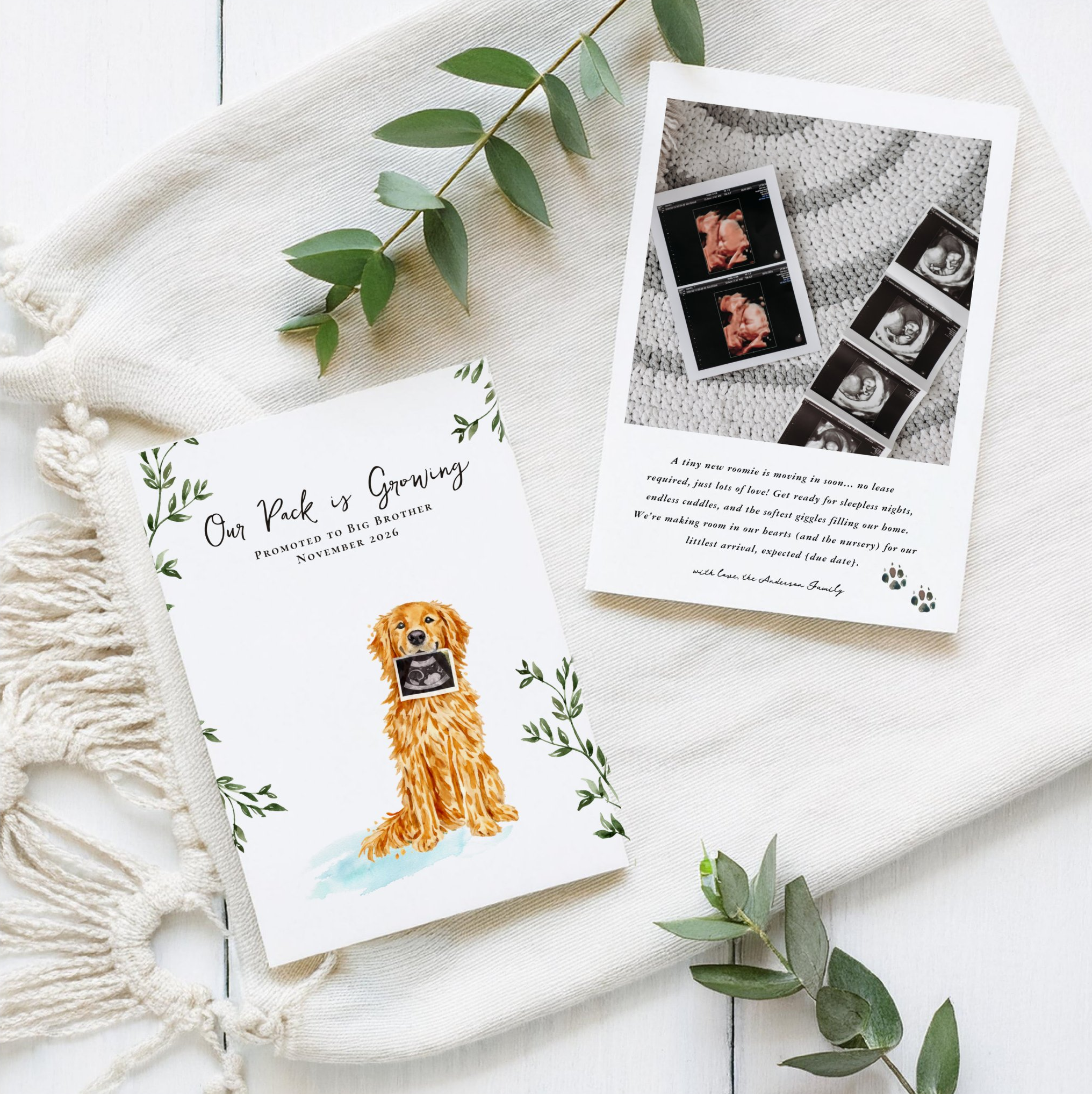 Dog pregnancy announcement card with watercolor golden retriever holding an ultrasound photo and “Our Pack Is Growing” message for a baby reveal.