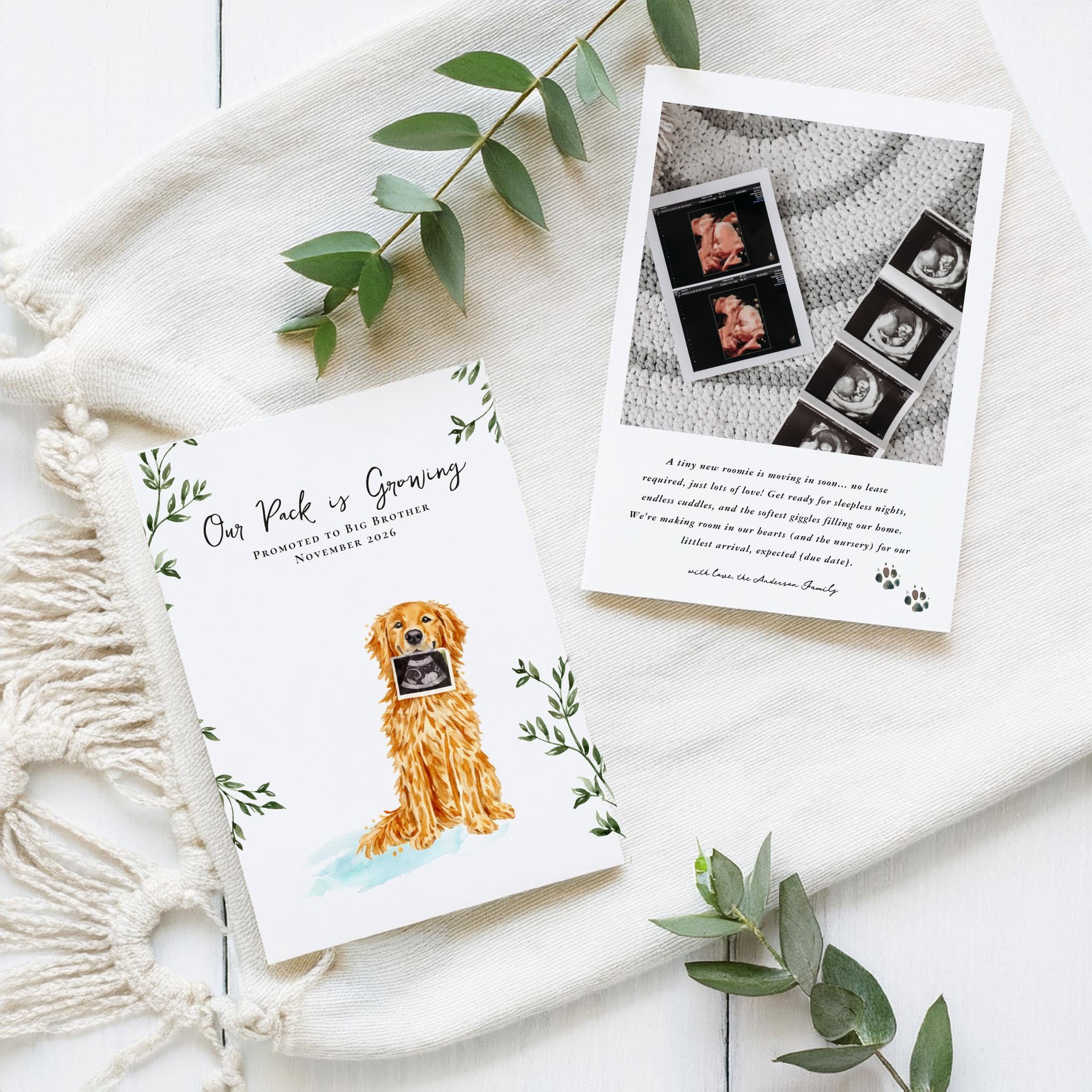 Custom pregnancy announcement card featuring a hand-painted watercolor portrait of a golden retriever holding an ultrasound photo, paired with ultrasound images and a personalized message announcing a growing family.