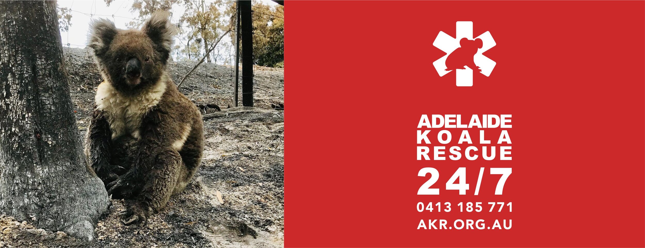 Adelaide Koala Rescue - AKR