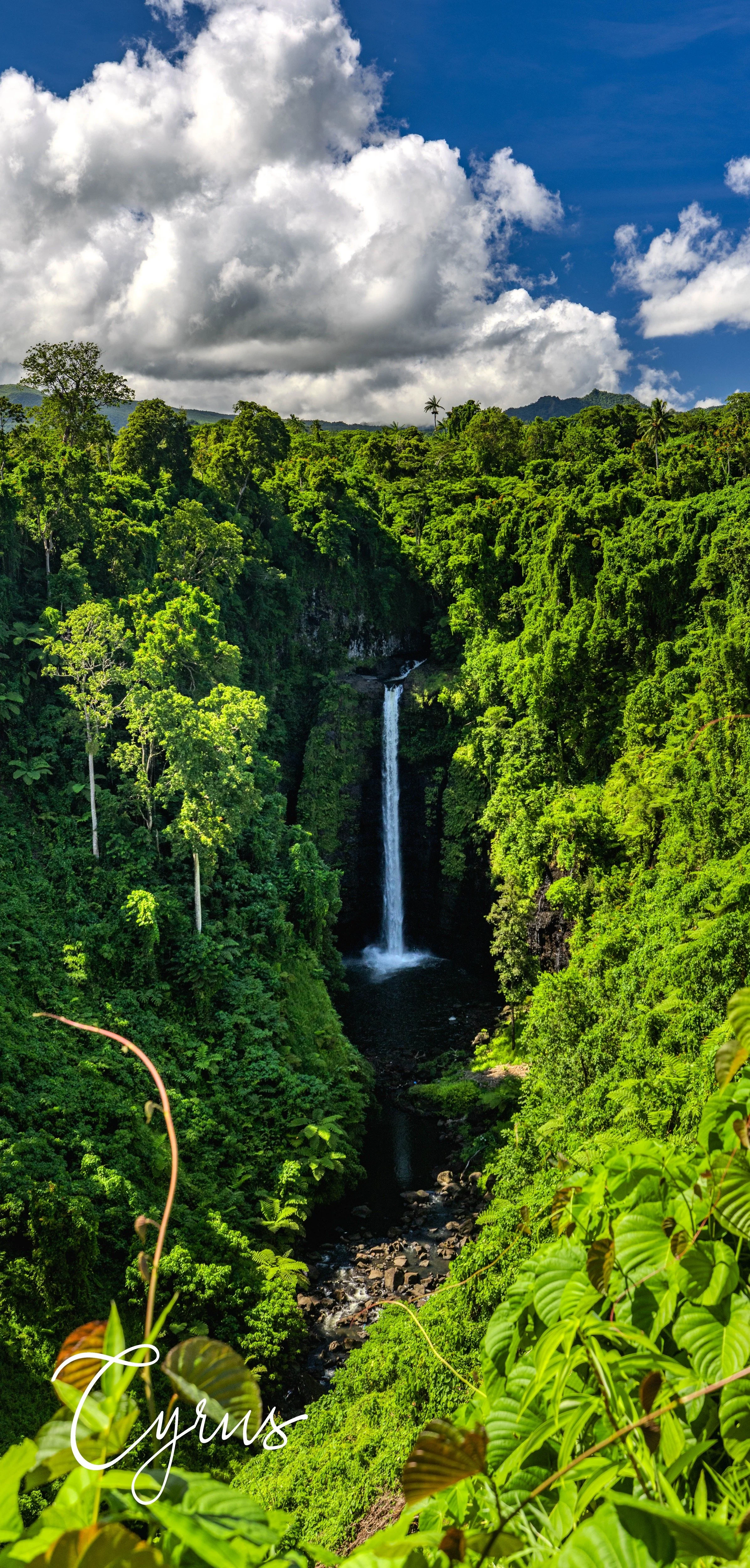 Rainforest Veil
Samoa