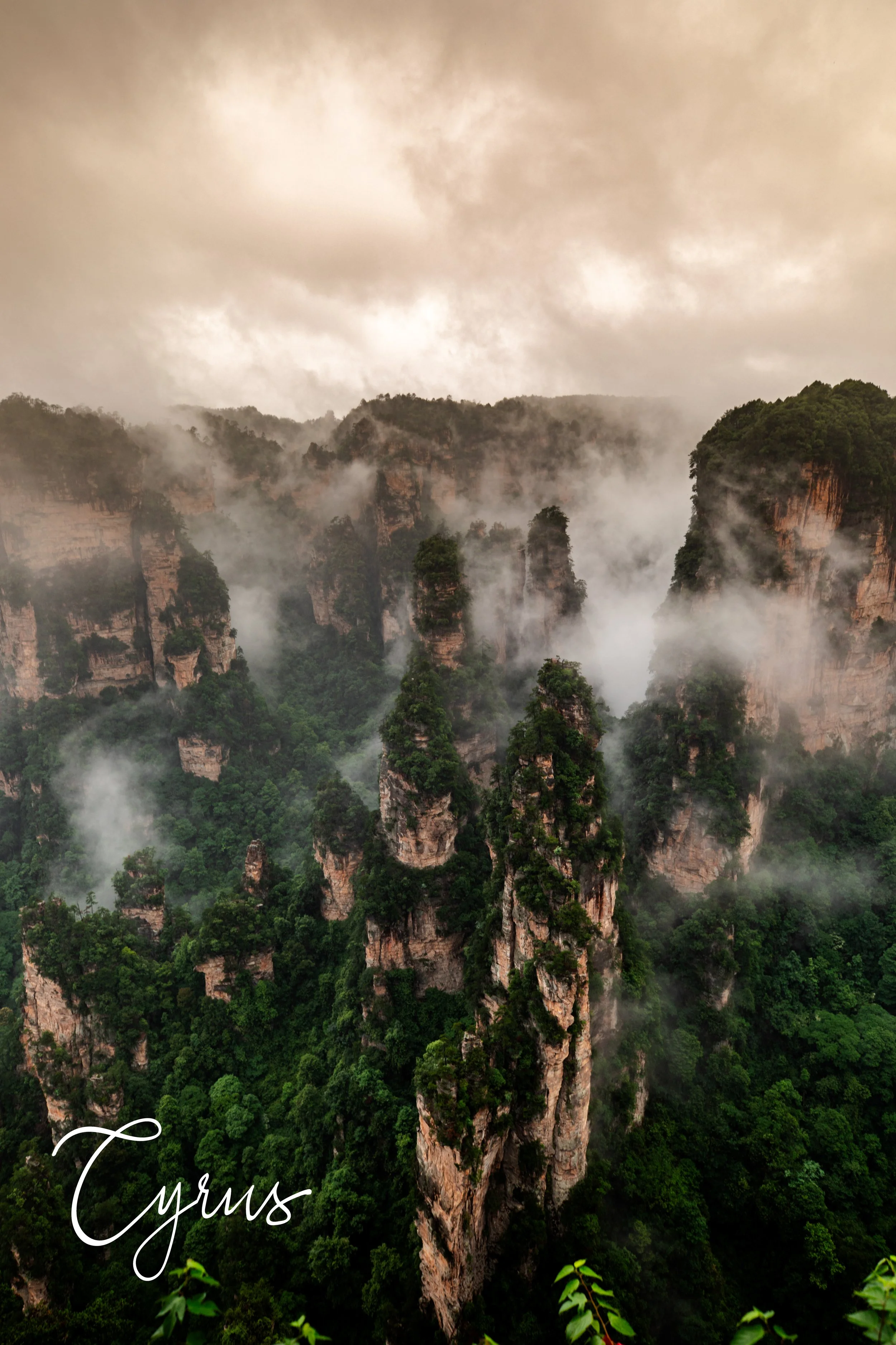 Whispers Among Giants
Zhangjiajie, China