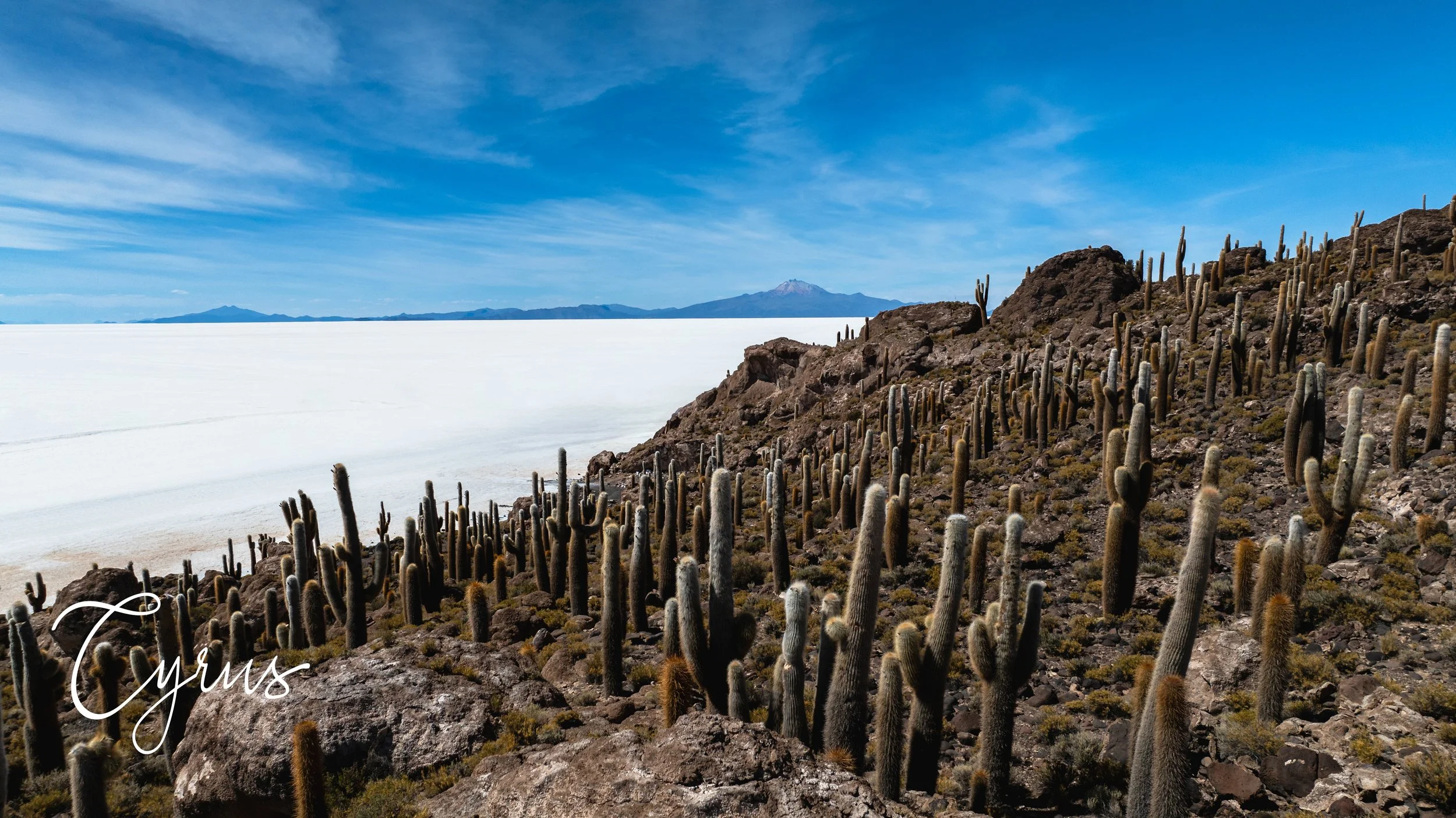 Isle of the Silent Giants - Colchani, Bolivia