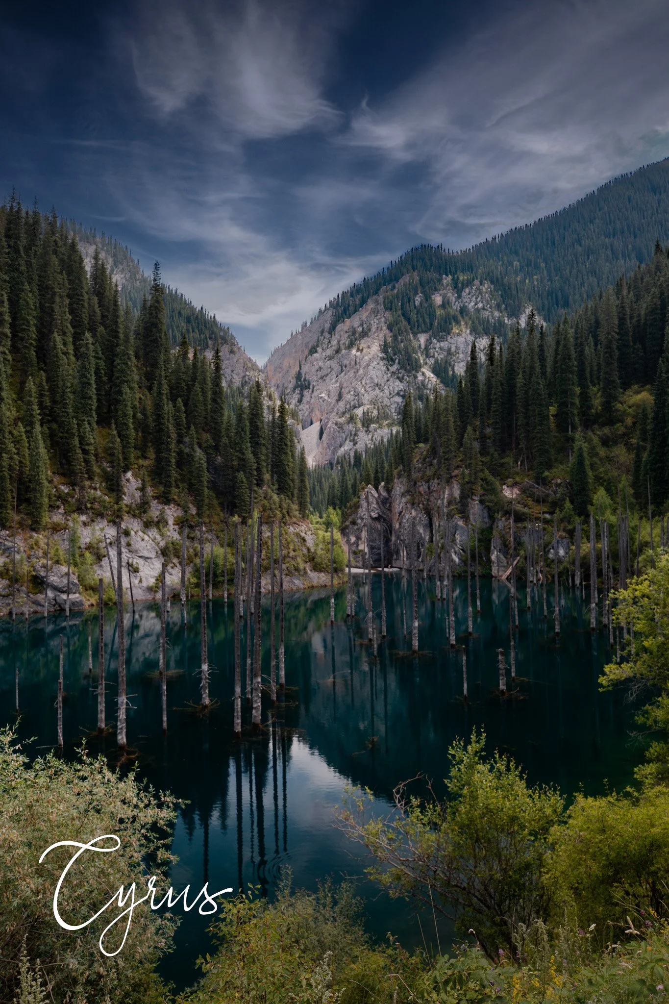 Ghosts of the Forest - Kaindy, Kazakhstan