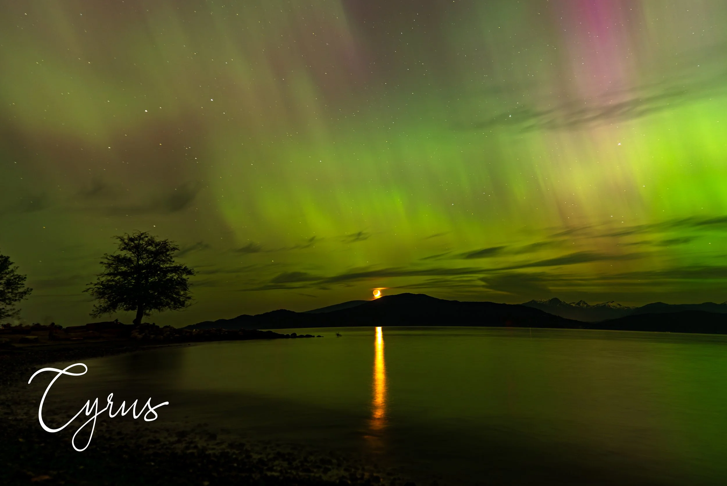Whispers of the Northern Bay - Vancouver, Canada