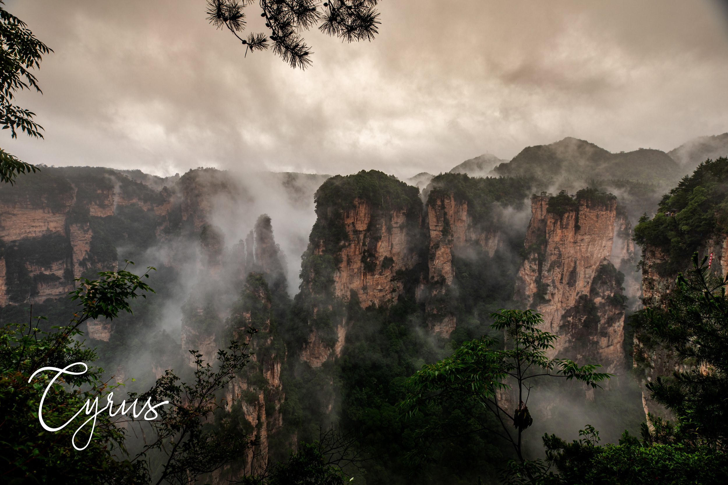 Guardians in the Fog
Zhangjiajie, China