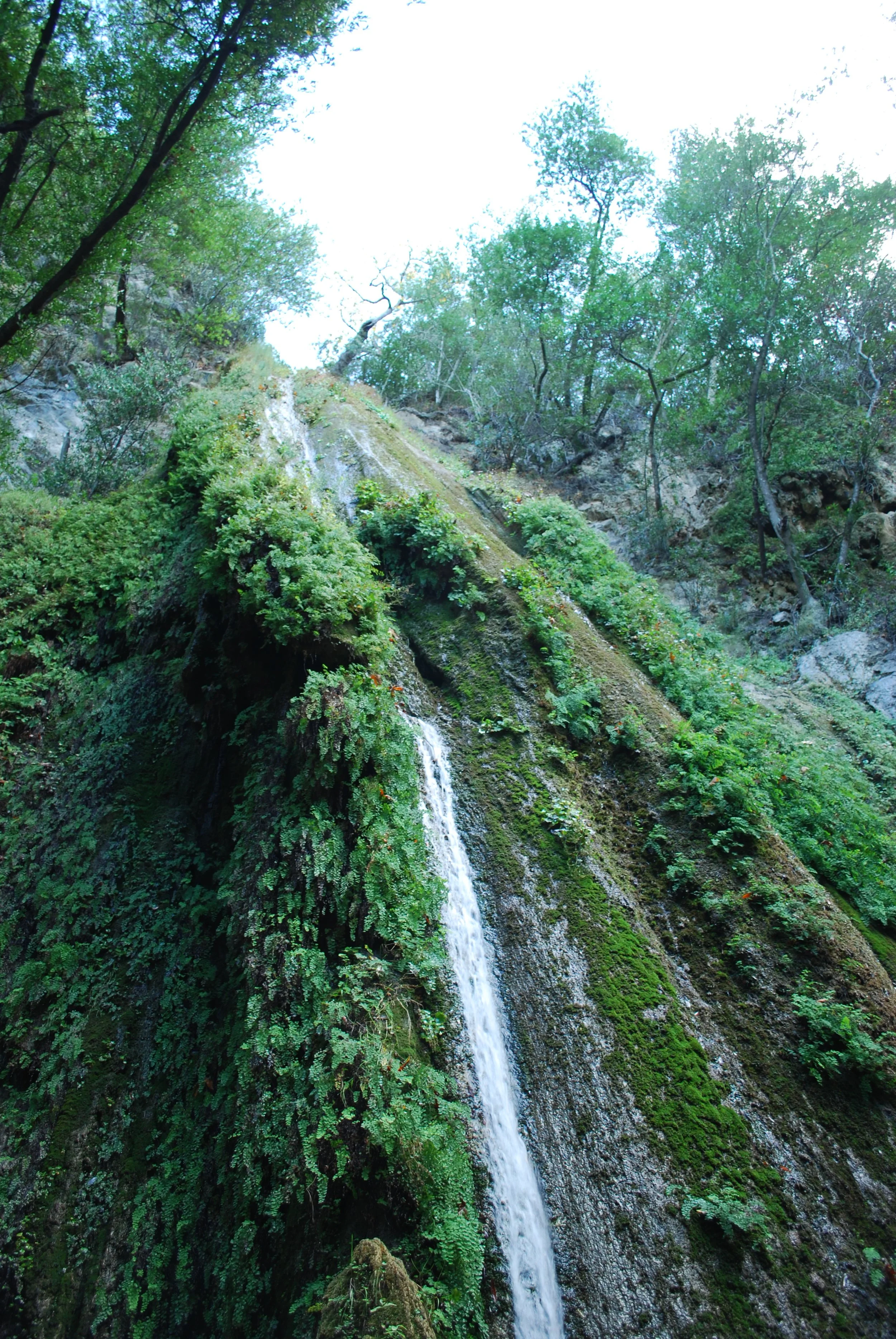 Nojoqui Falls (2)