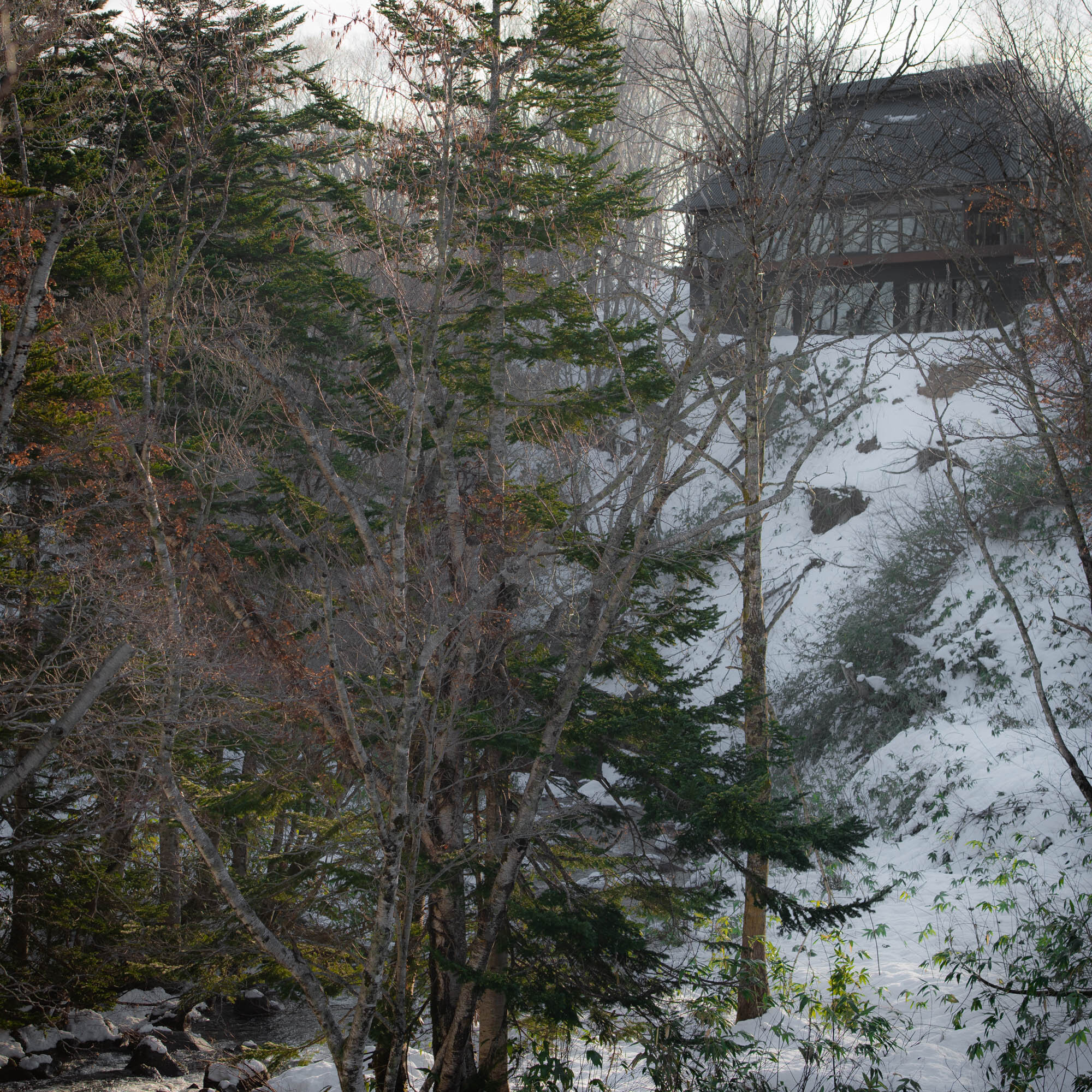 DSC_0456.jpg