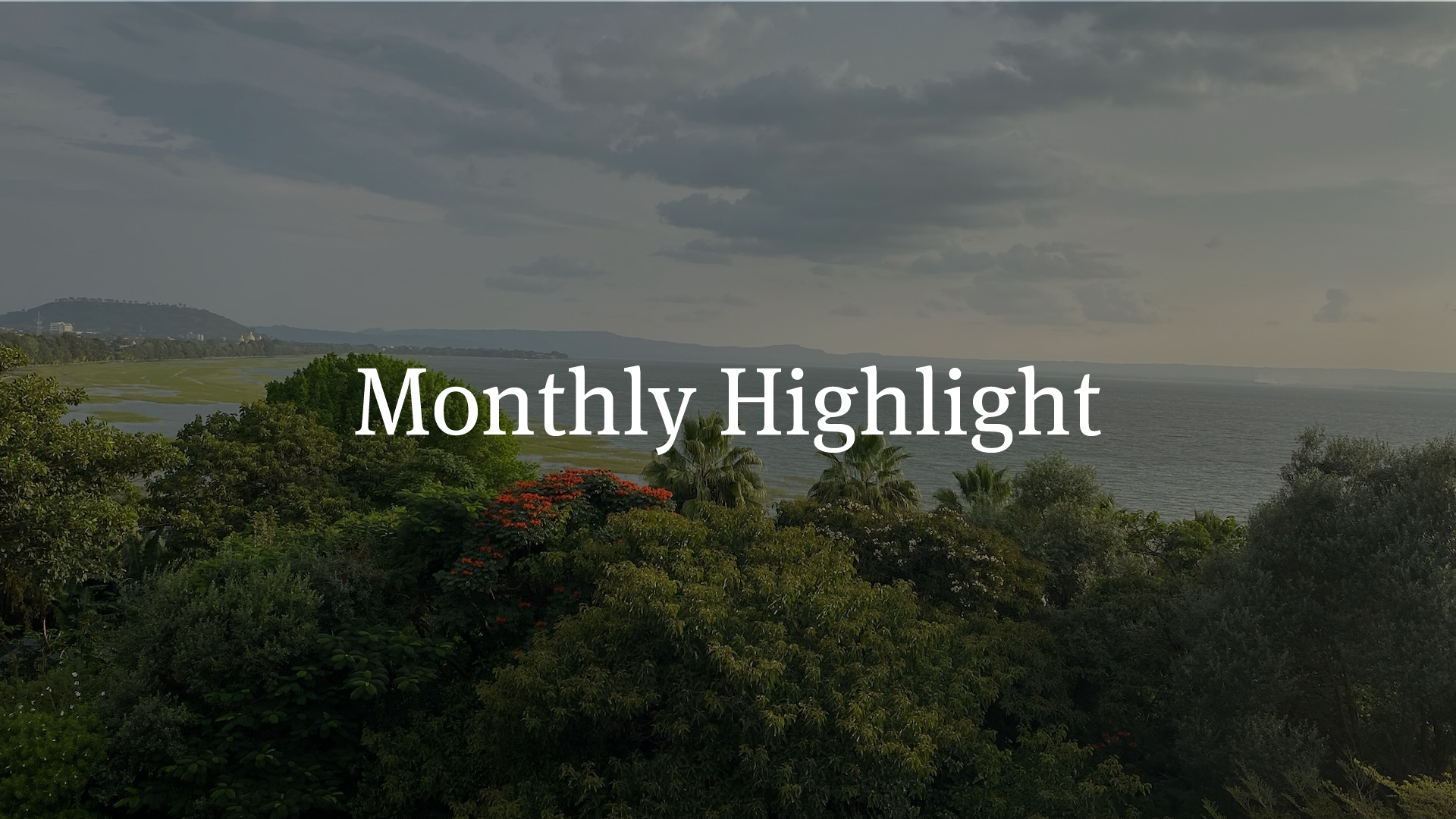monthly highlight_web header.png