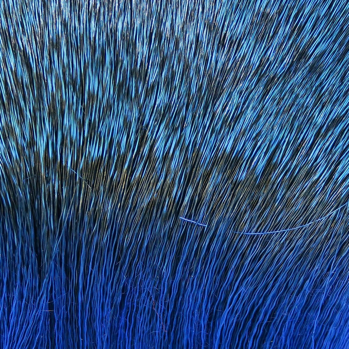 coG5mVlA.jpeg