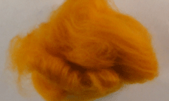 Bull-Frawg-Amber.gif