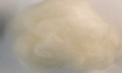Bull-Frawg-White.gif