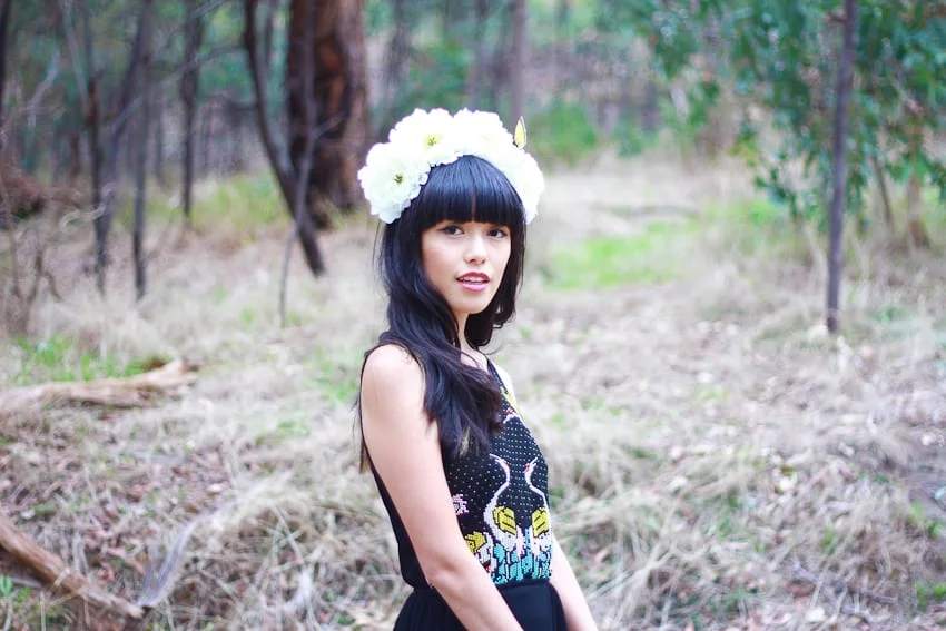 butterfly flutter by