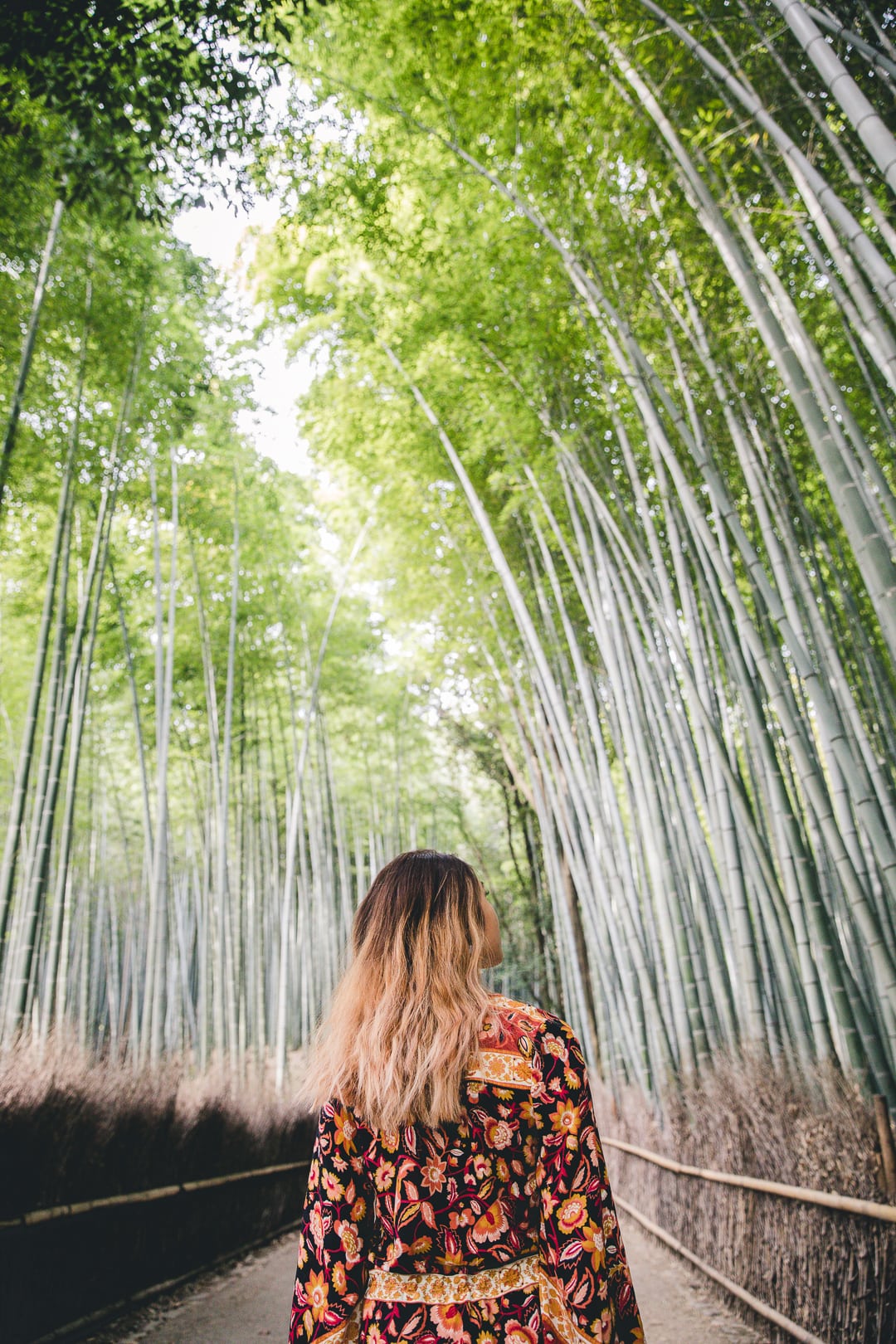 The Magical World Of Arashiyama Bamboo Forest Connie And Luna